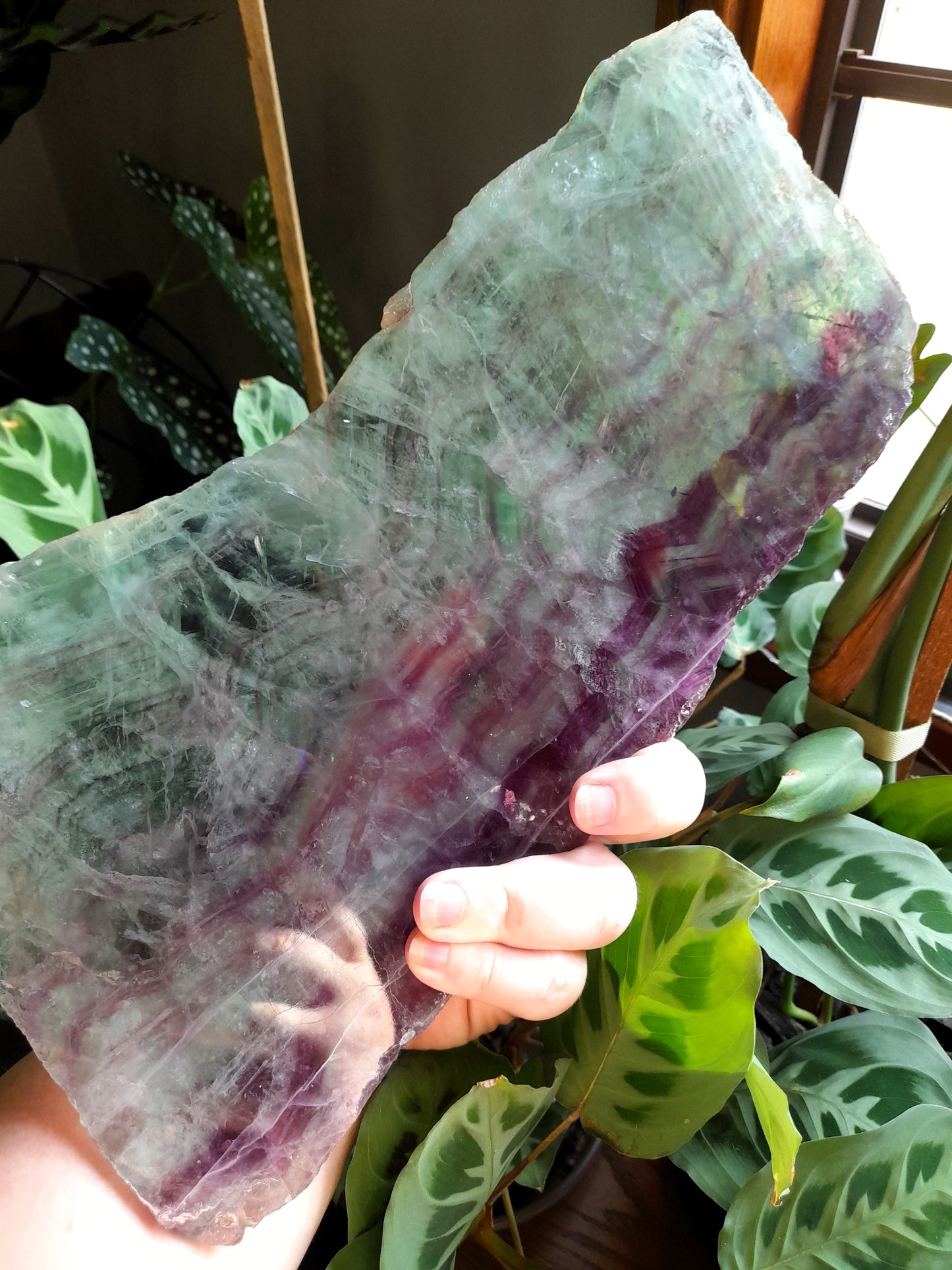 Polished Fluorite Slab + display stand - 2170g