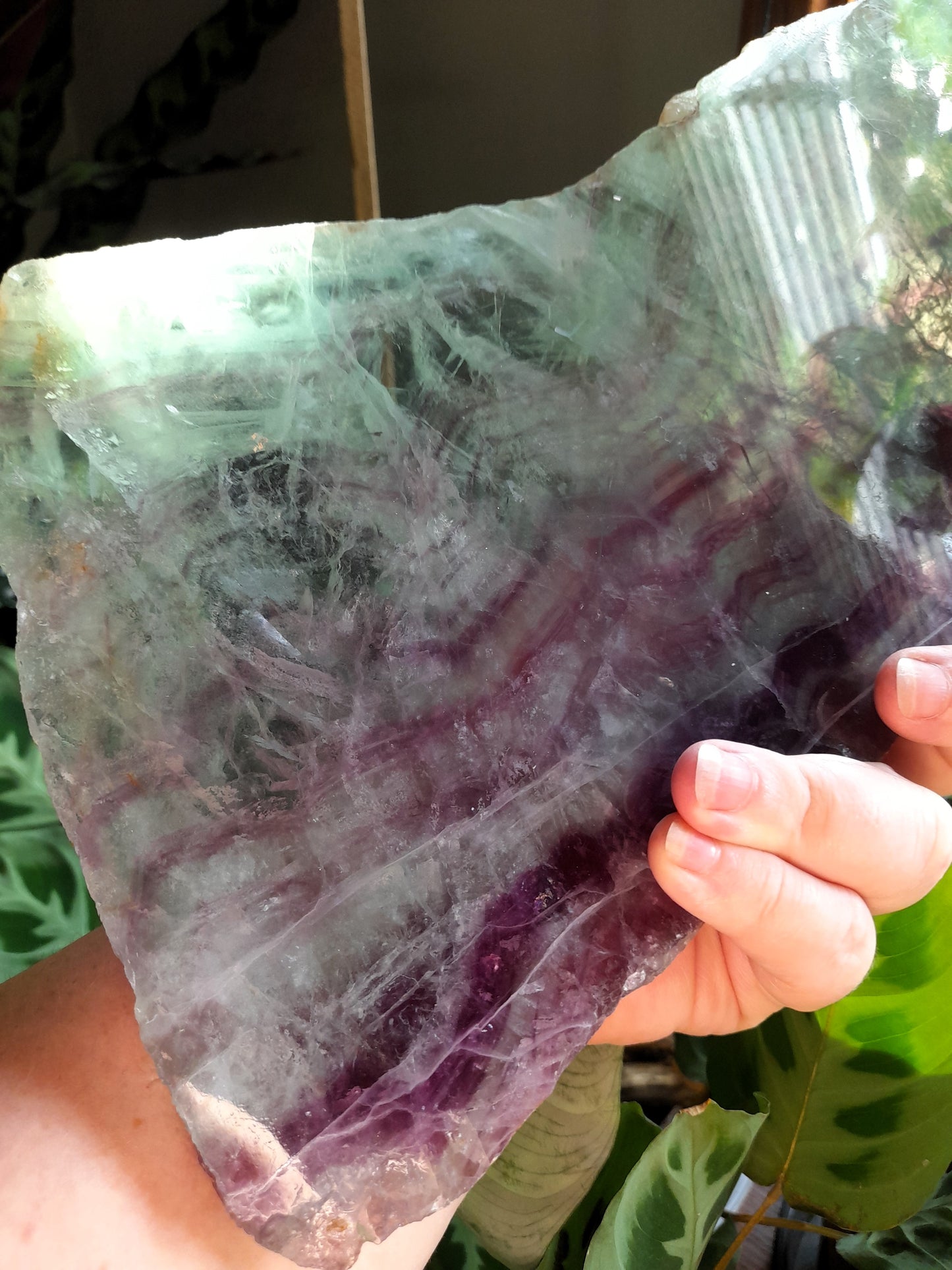 Polished Fluorite Slab + display stand - 2170g