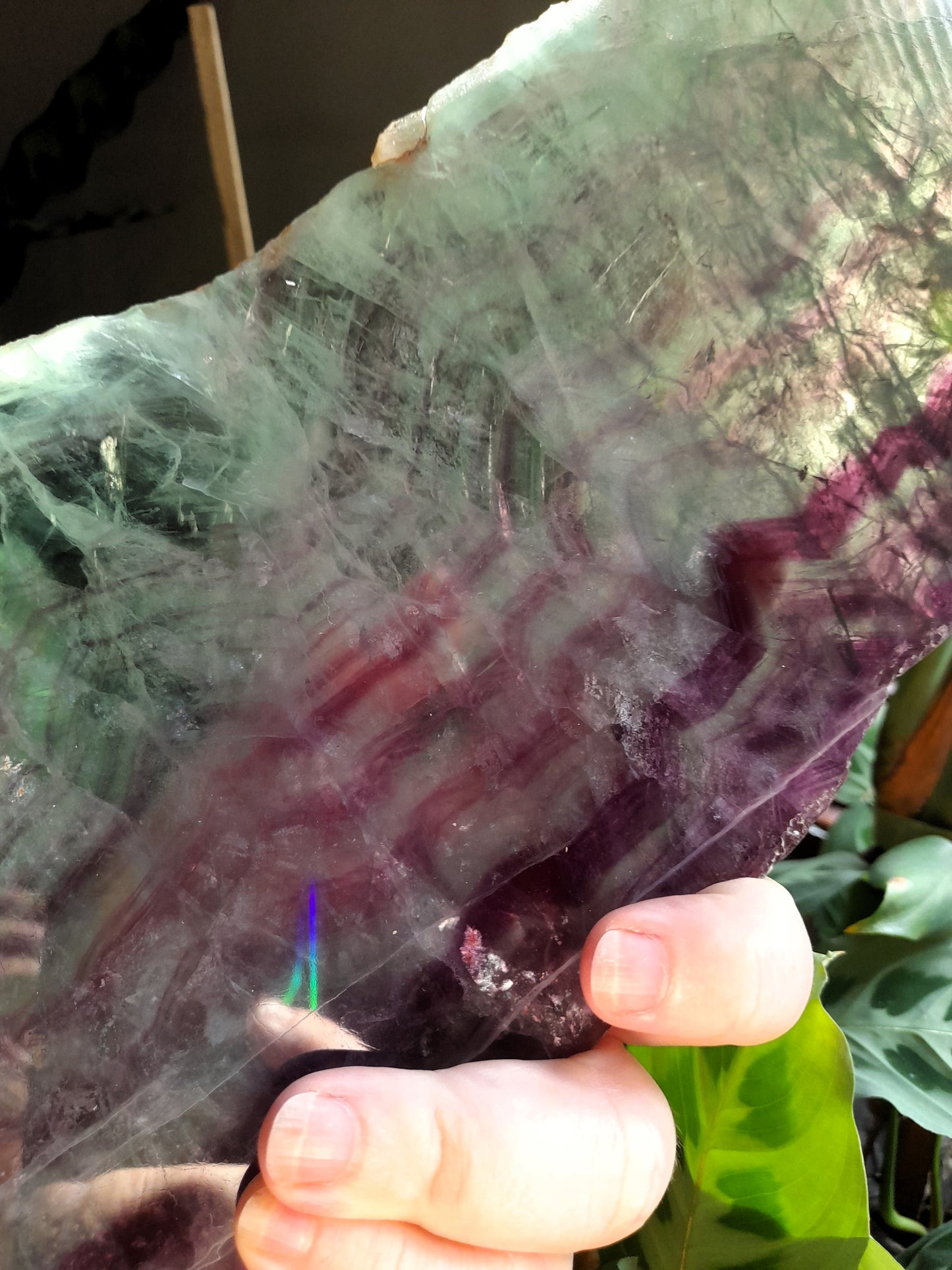 Polished Fluorite Slab + display stand - 2170g
