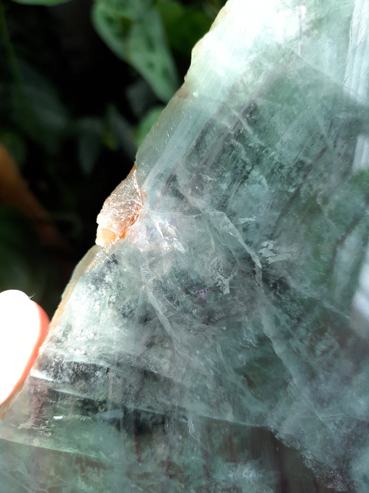Polished Fluorite Slab + display stand - 2170g