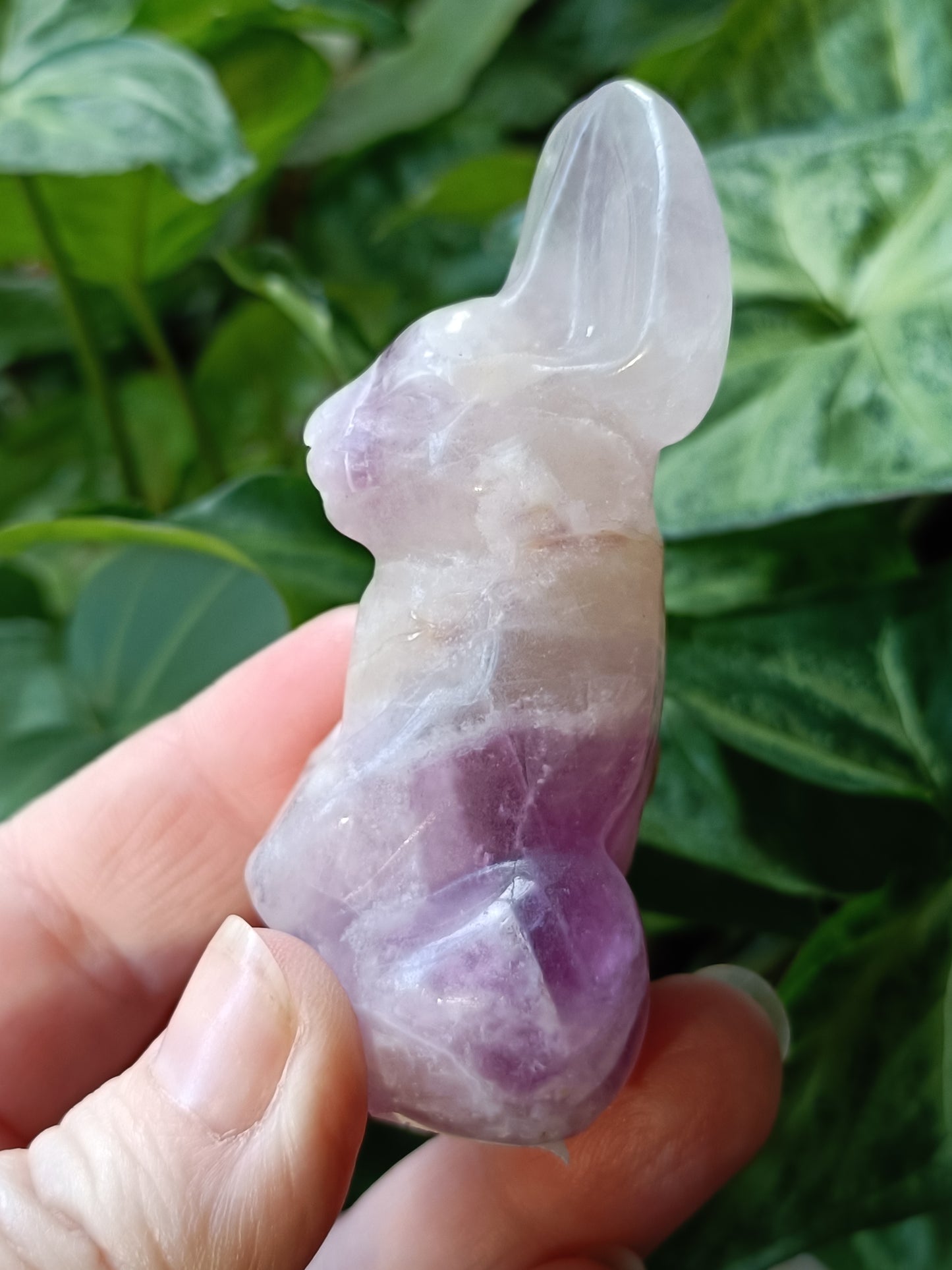 Chevron Amethyst Secret Rabbit Carving