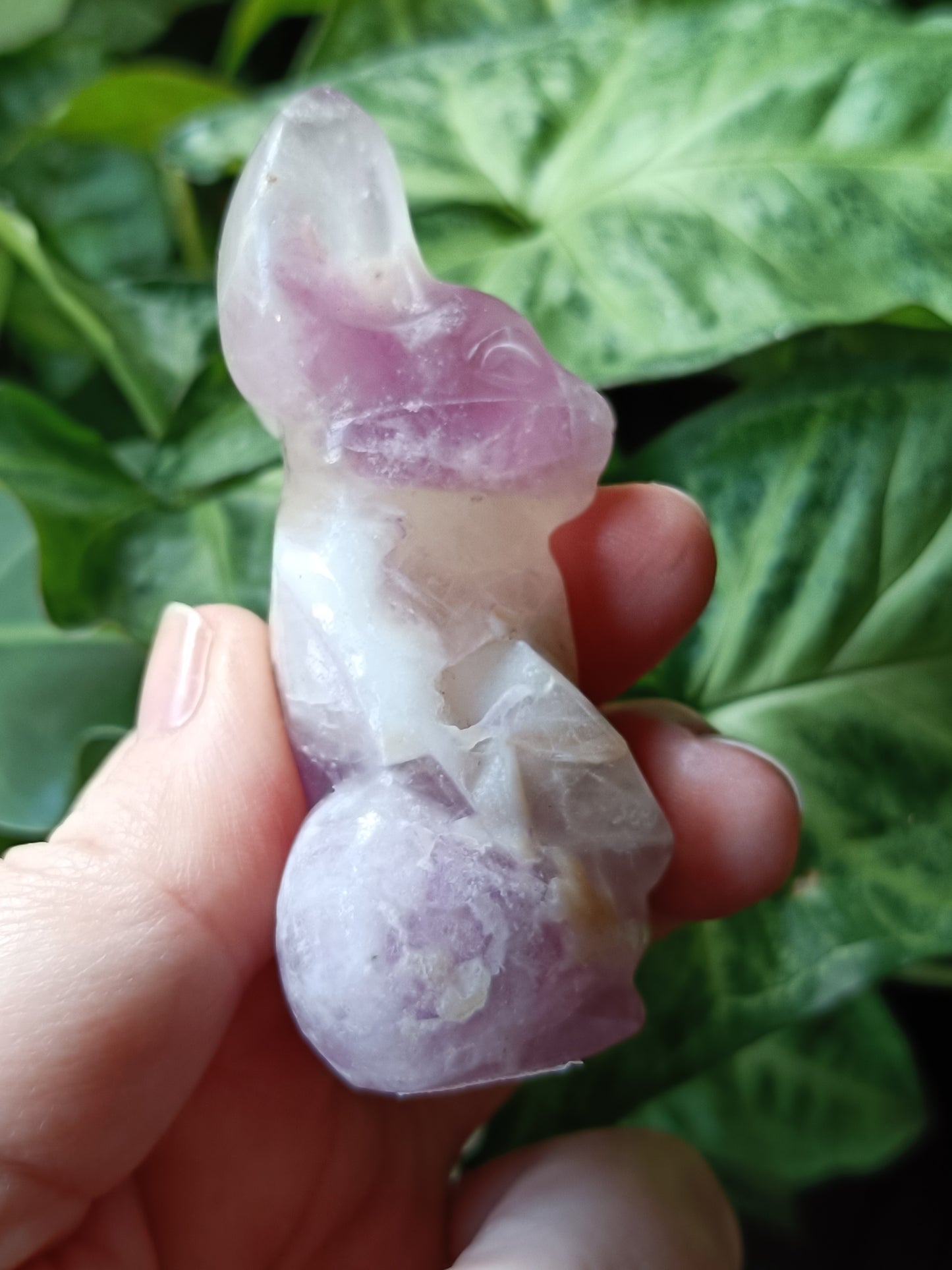 Chevron Amethyst Secret Rabbit Carving