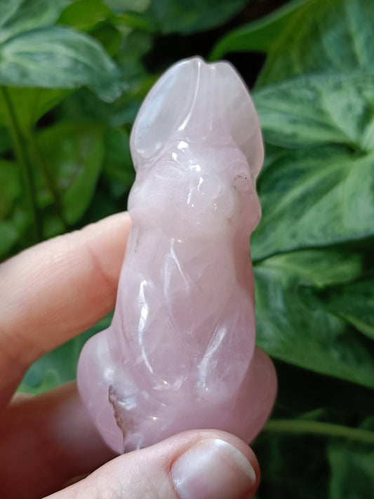Rose Quartz Secret Rabbit Carving