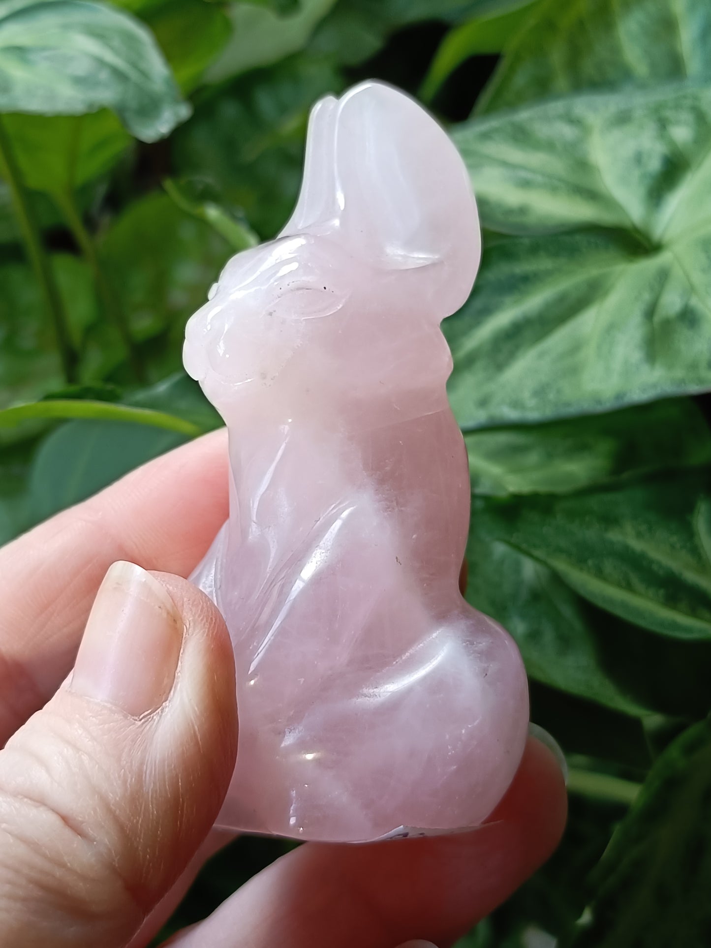 Rose Quartz Secret Rabbit Carving