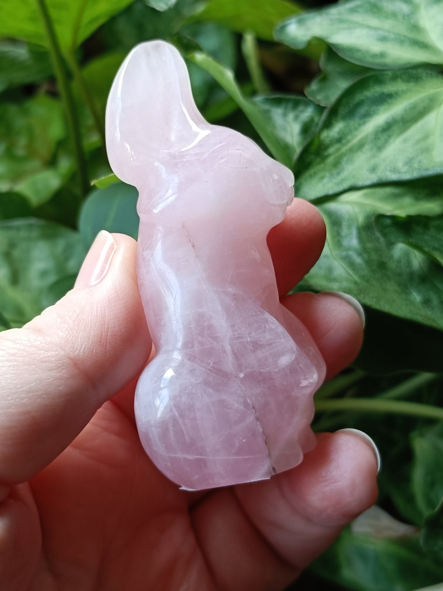 Rose Quartz Secret Rabbit Carving