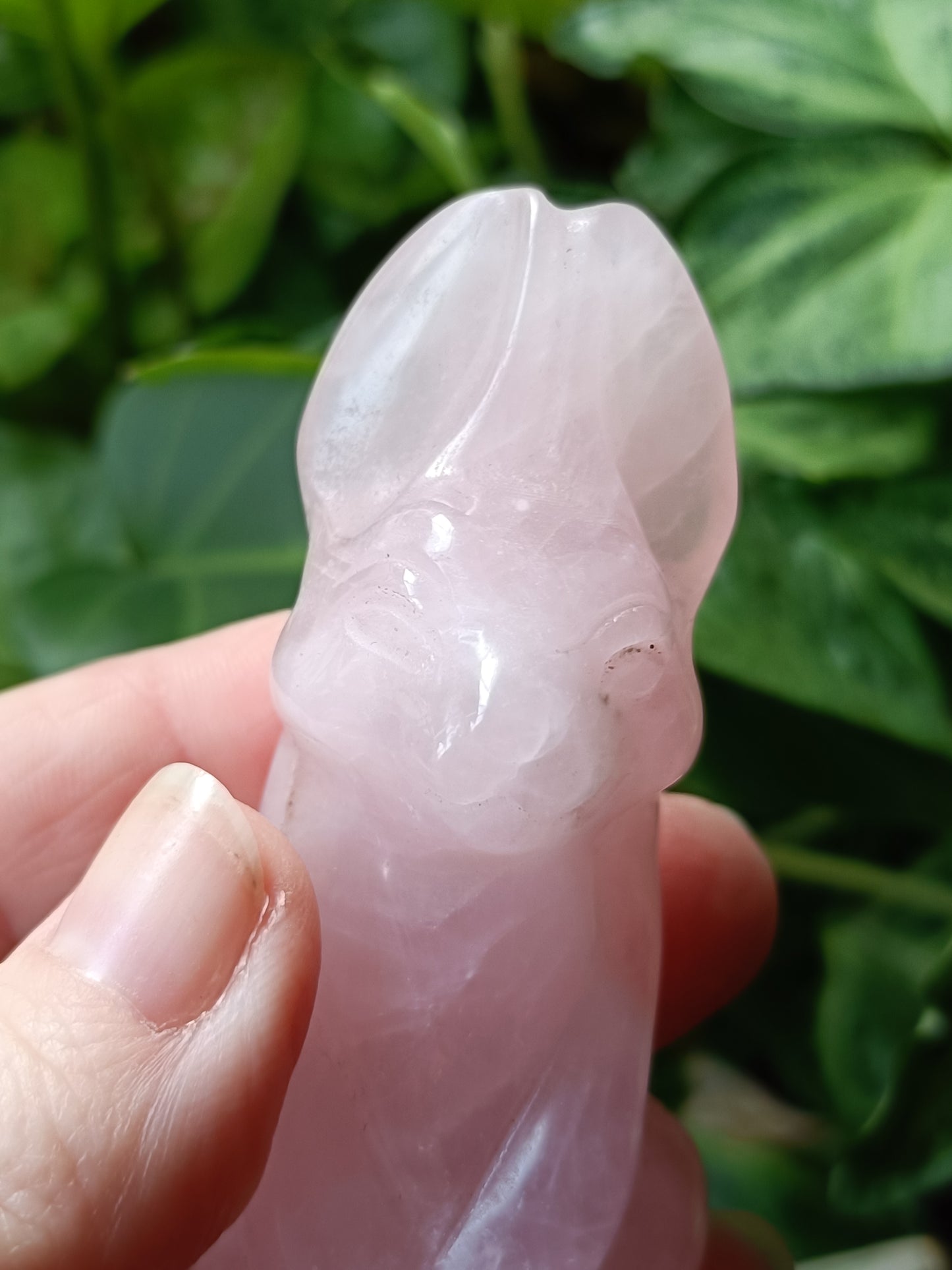 Rose Quartz Secret Rabbit Carving