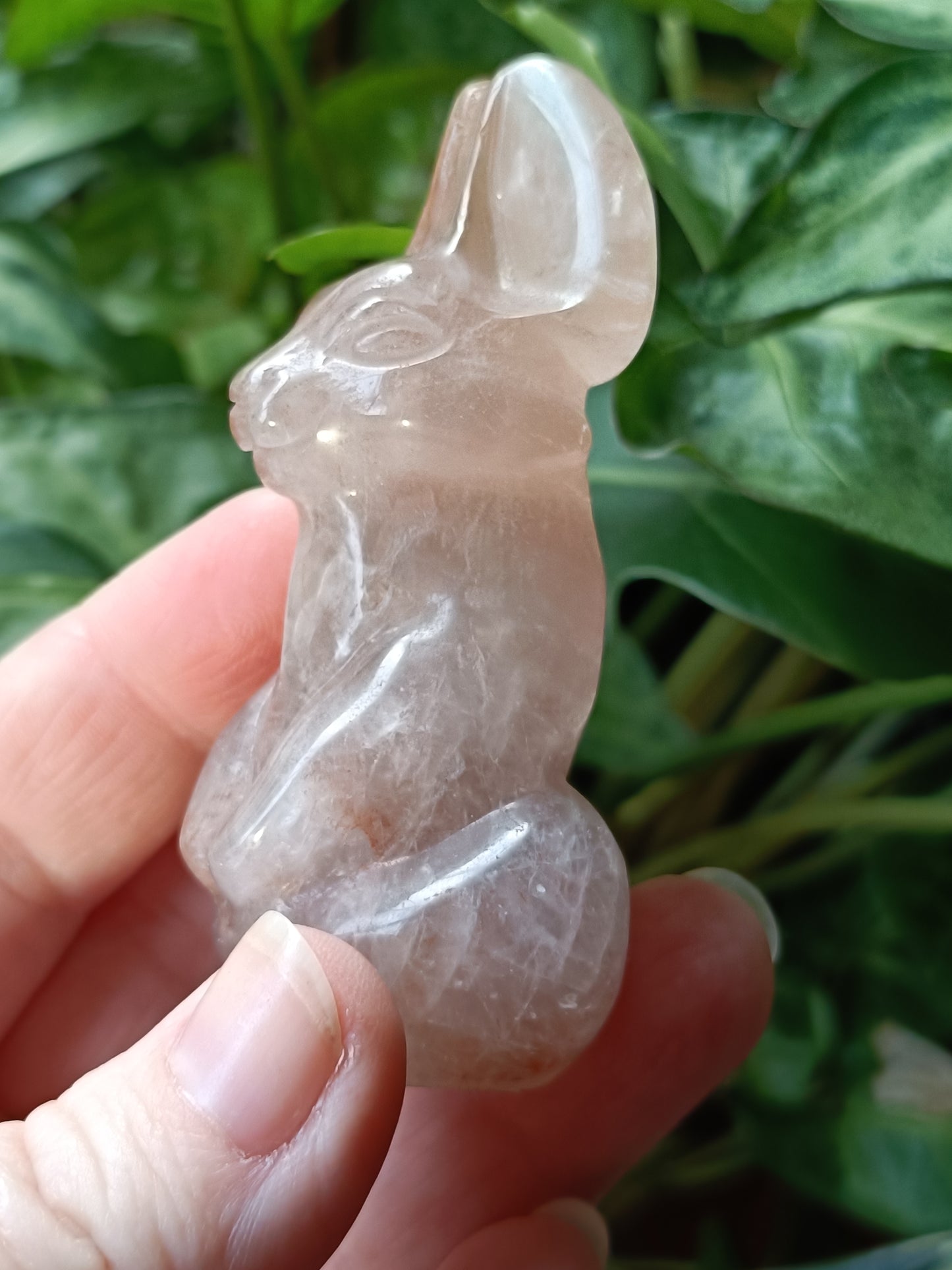 Fire Quartz Secret Rabbit Carving
