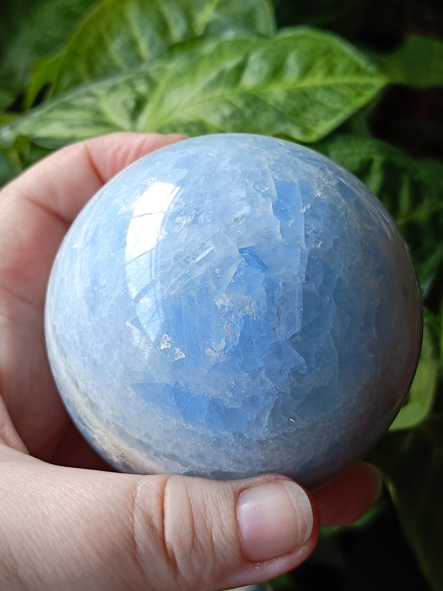 Blue Calcite Sphere - 652g