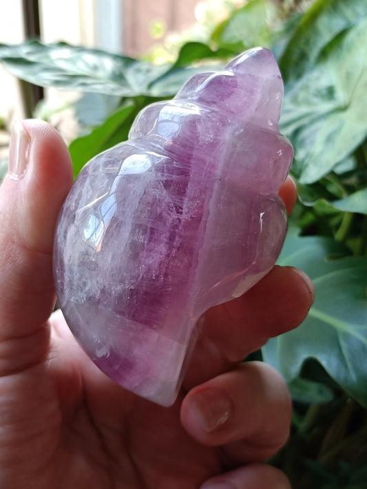Fluorite Conch Shell Carving - 278g