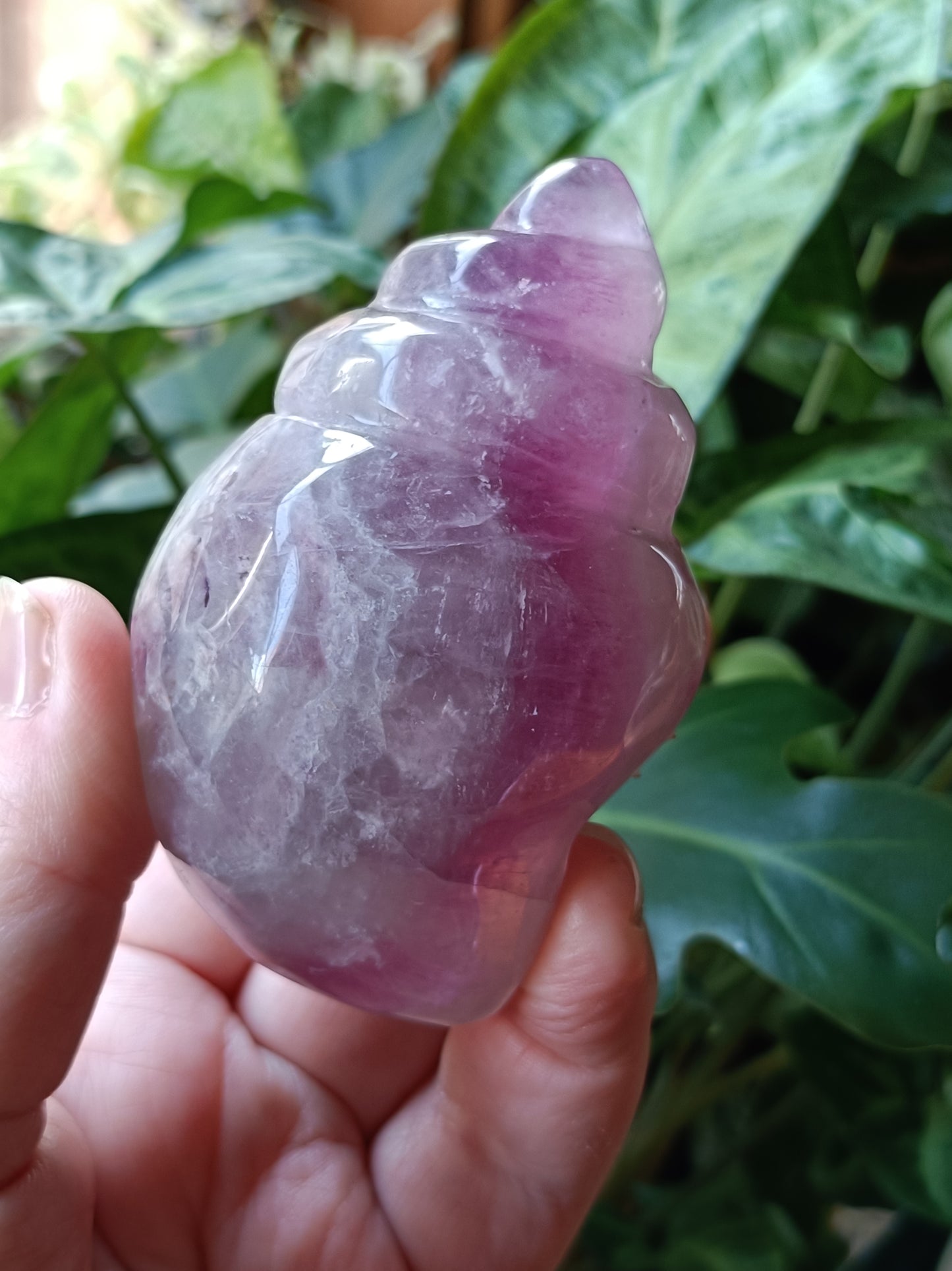 Fluorite Conch Shell Carving - 278g