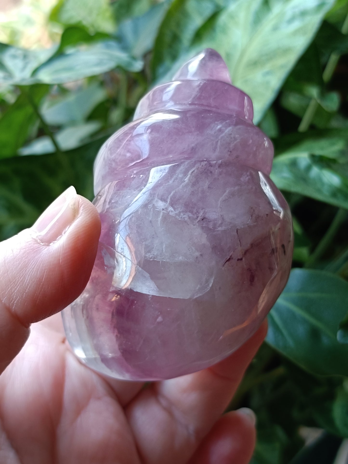 Fluorite Conch Shell Carving - 278g