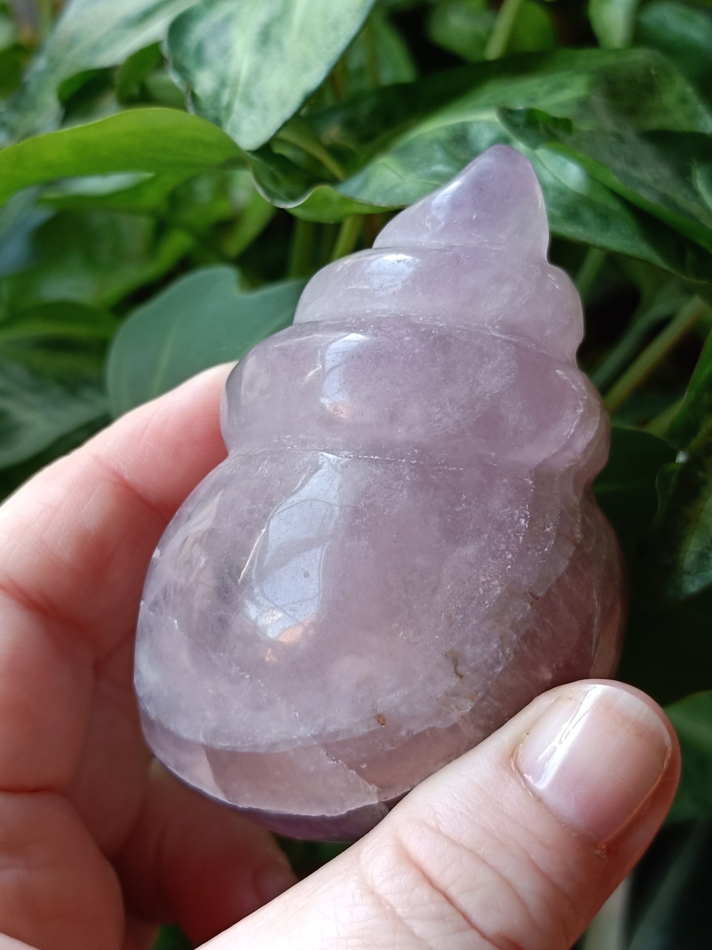 Fluorite Conch Shell Carving - 239g