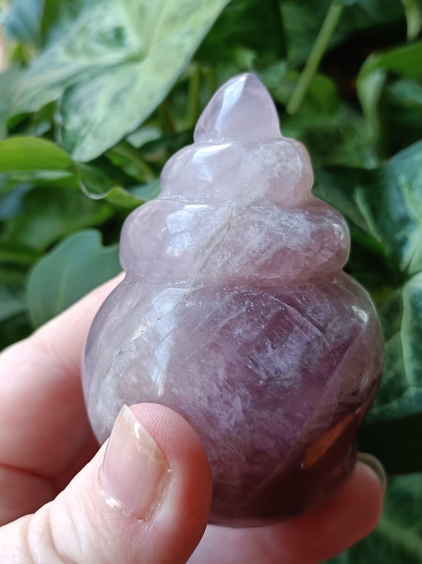 Fluorite Conch Shell Carving - 239g