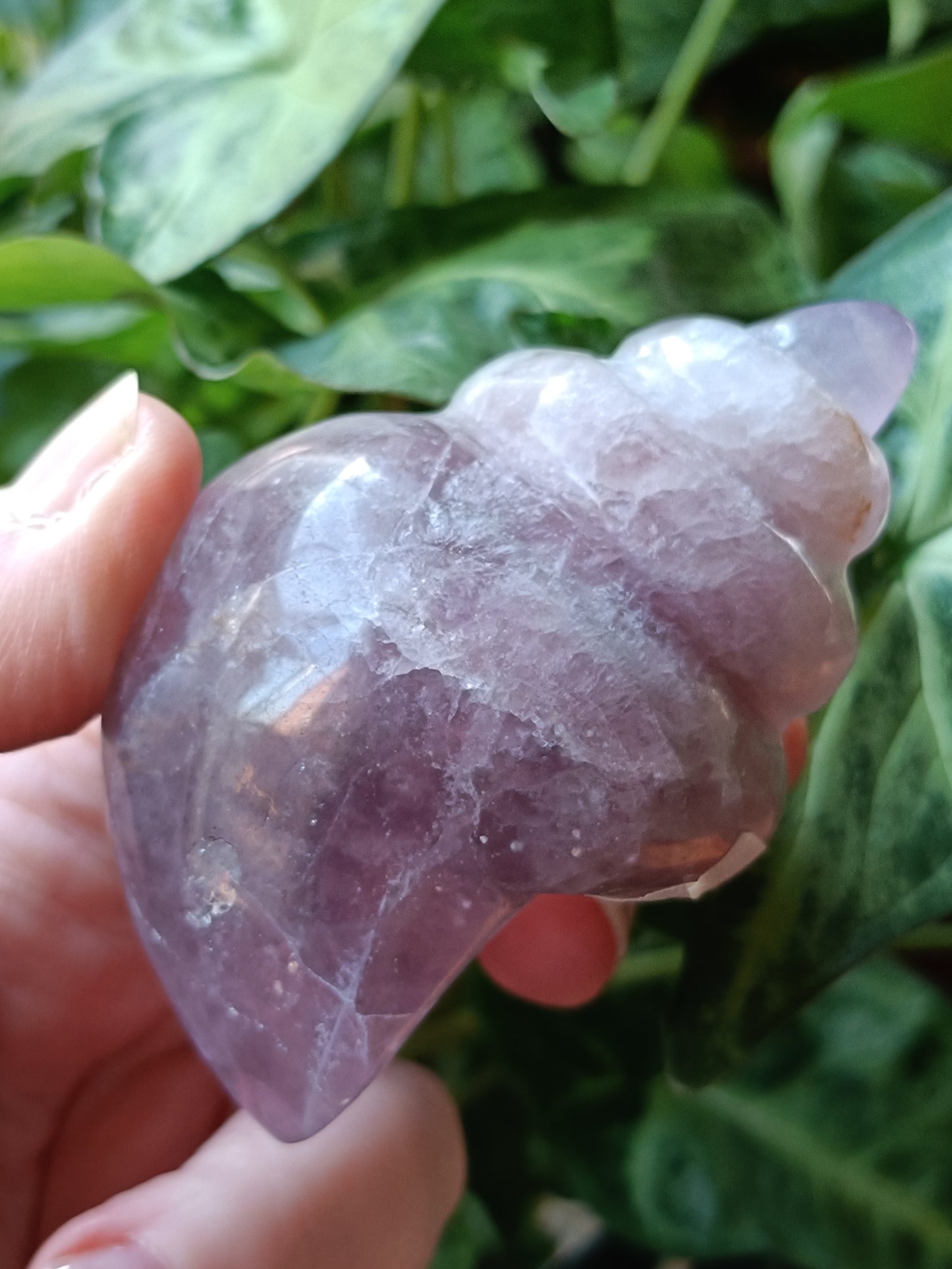Fluorite Conch Shell Carving - 239g