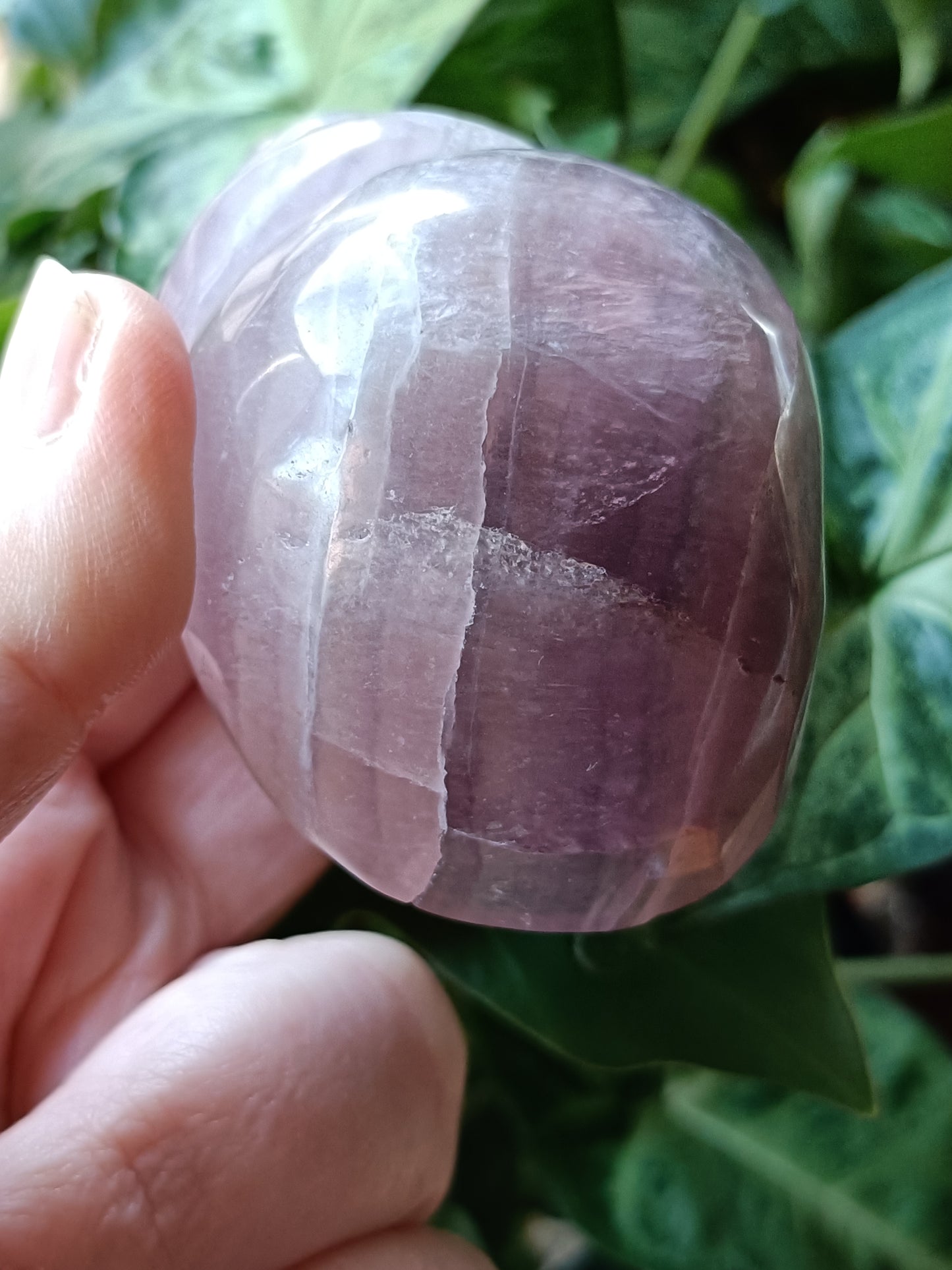 Fluorite Conch Shell Carving - 239g