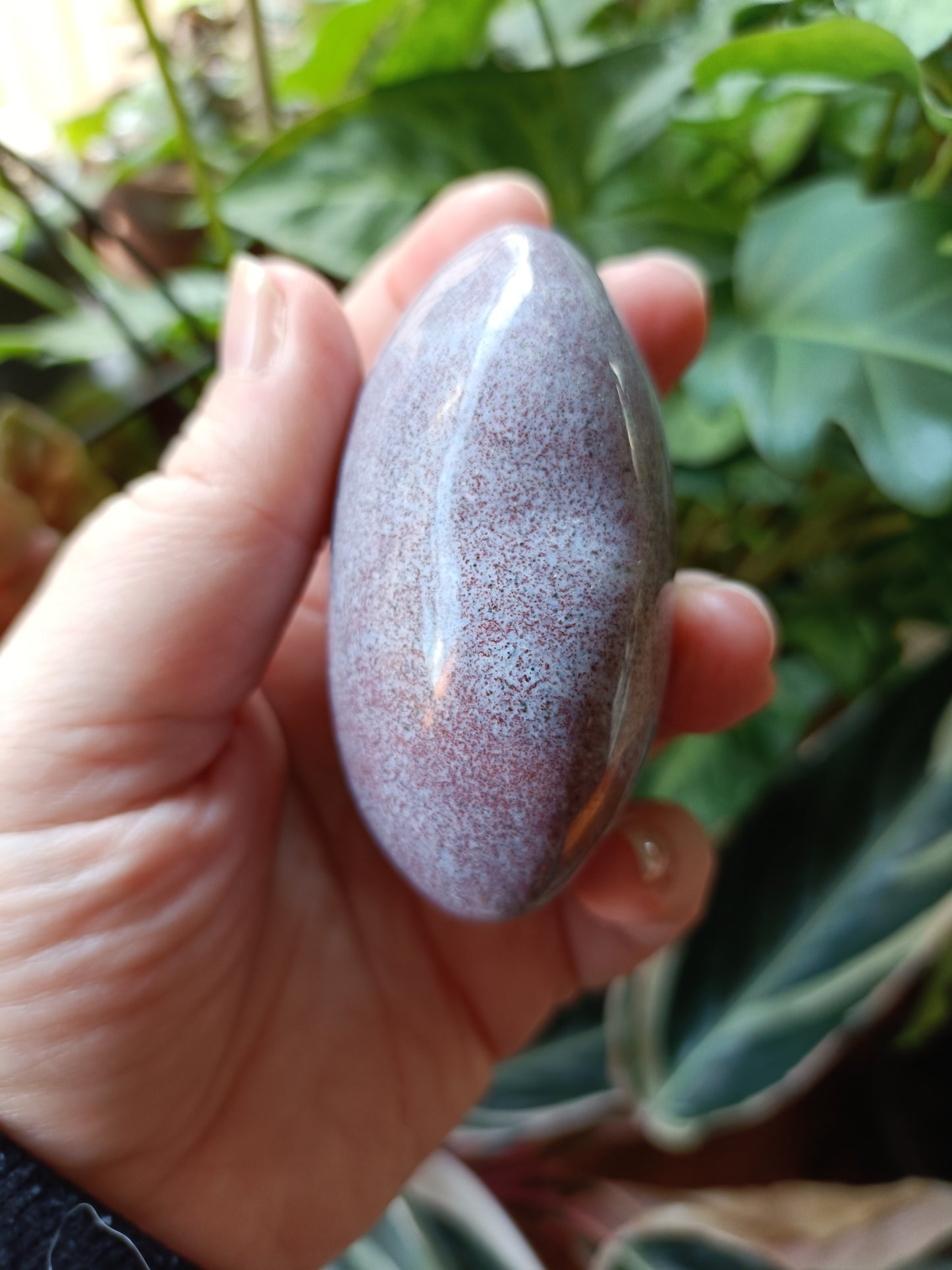 Ocean Jasper Heart - 237g