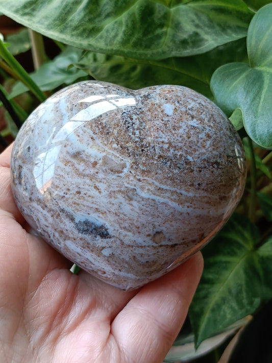 Ocean Jasper Heart - 308g