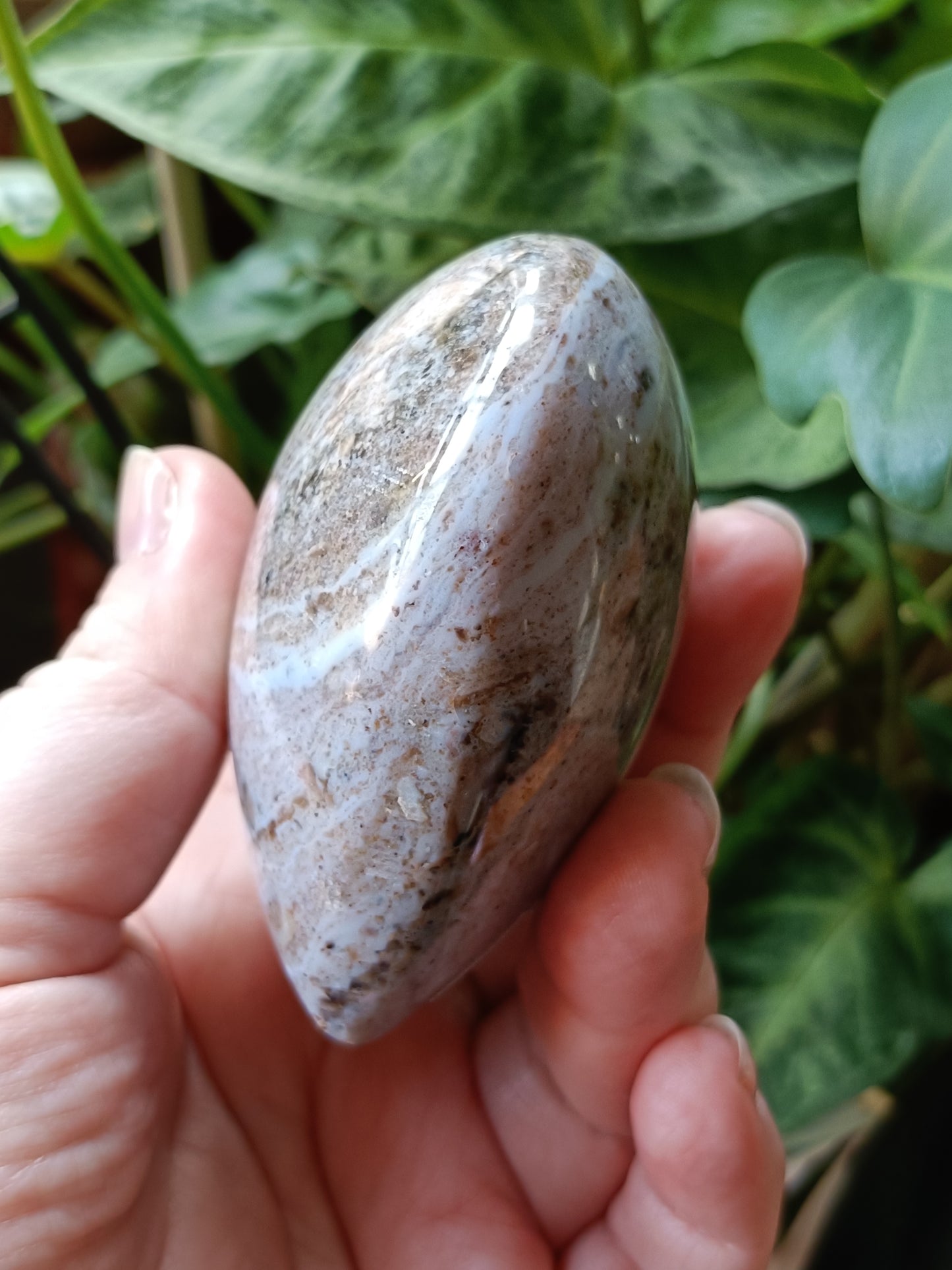 Ocean Jasper Heart - 308g