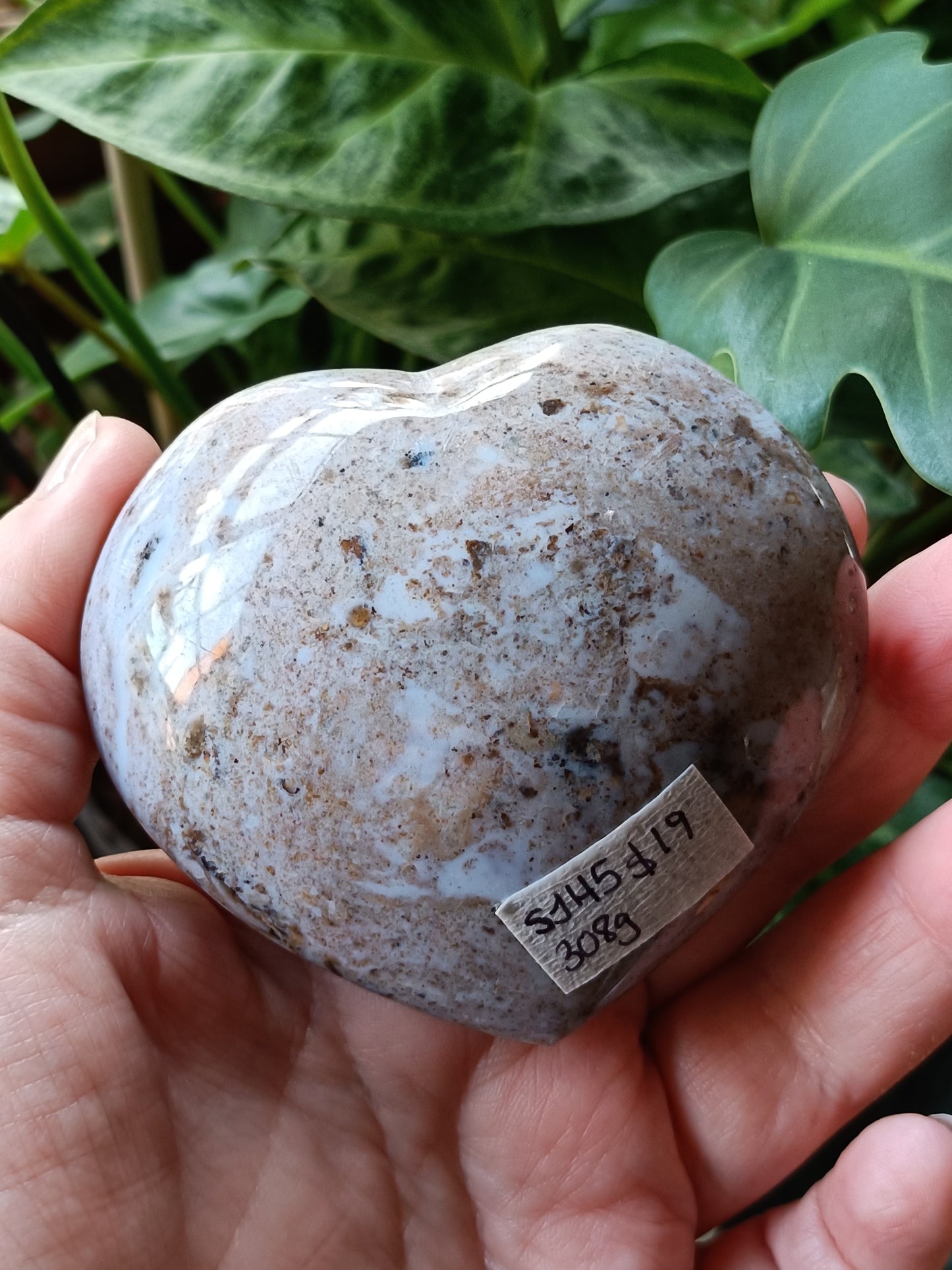 Ocean Jasper Heart - 308g