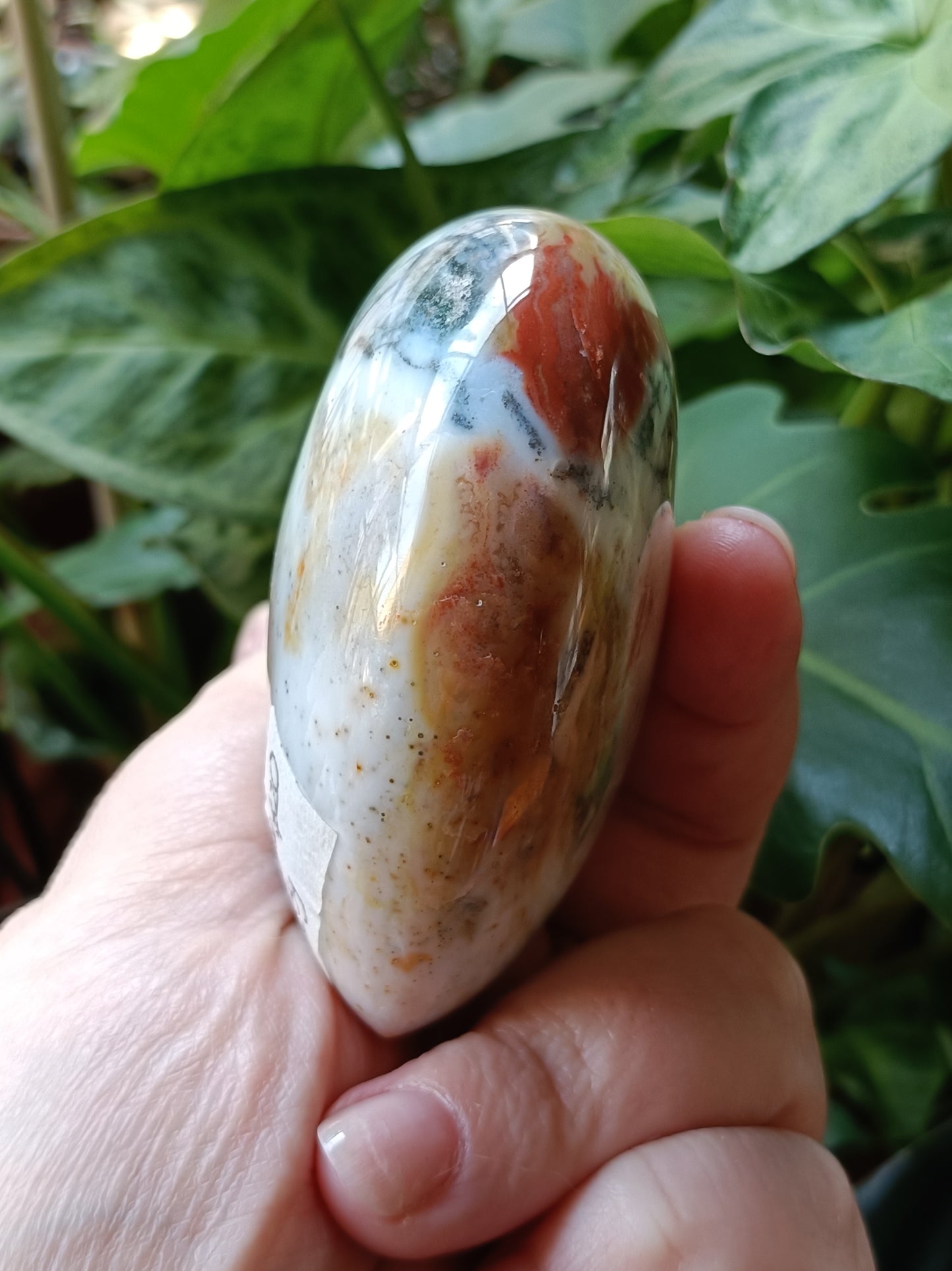 Ocean Jasper Heart - 325g