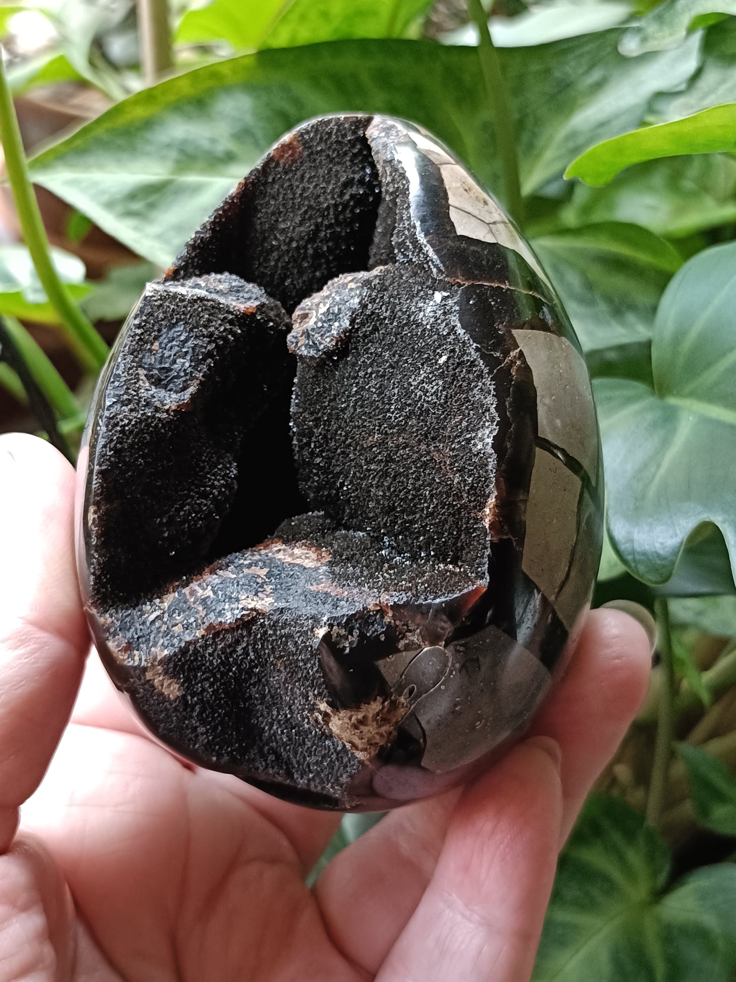 Septarian 'Dragon Stone' Egg - 439g