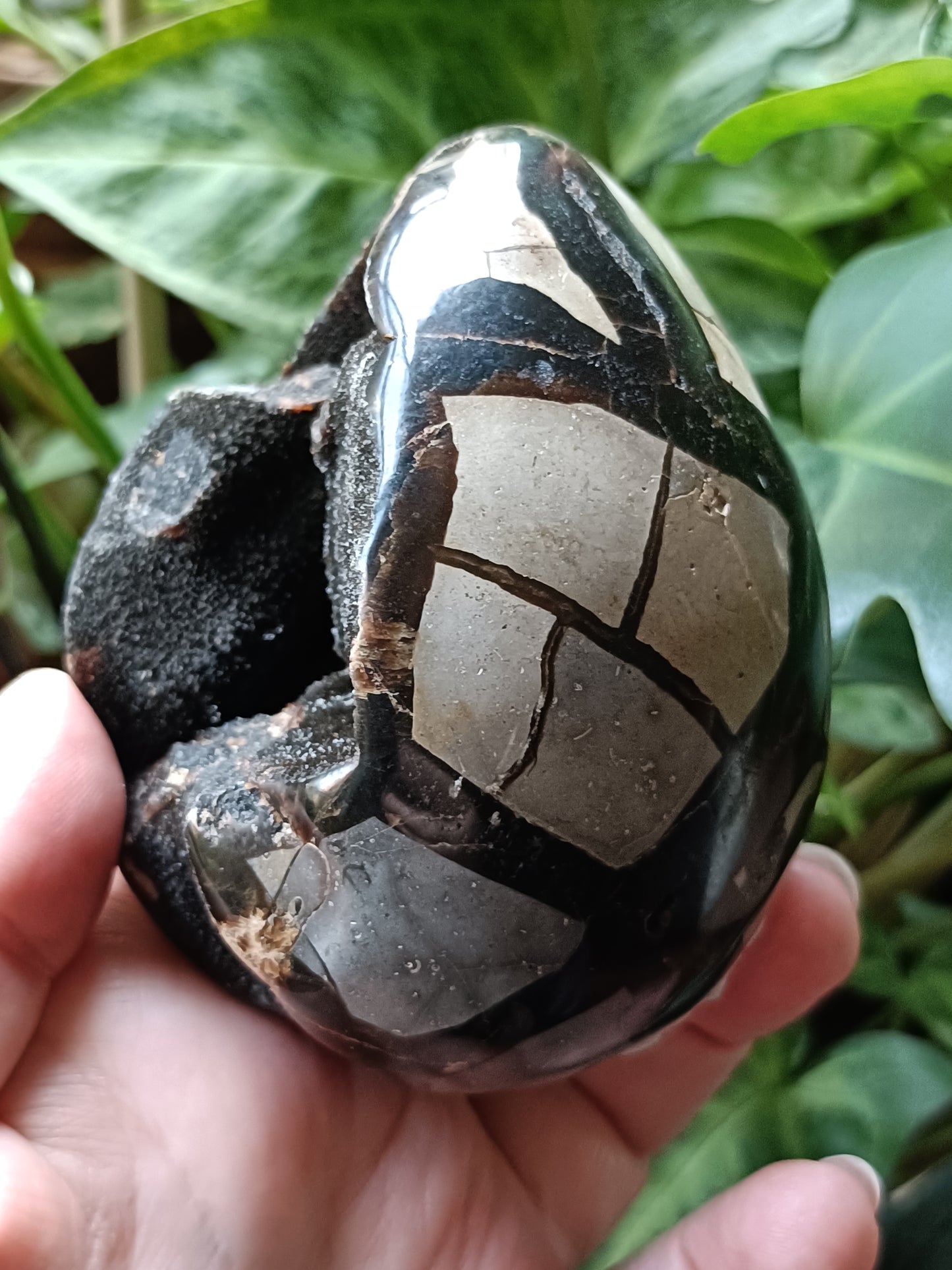 Septarian 'Dragon Stone' Egg - 439g
