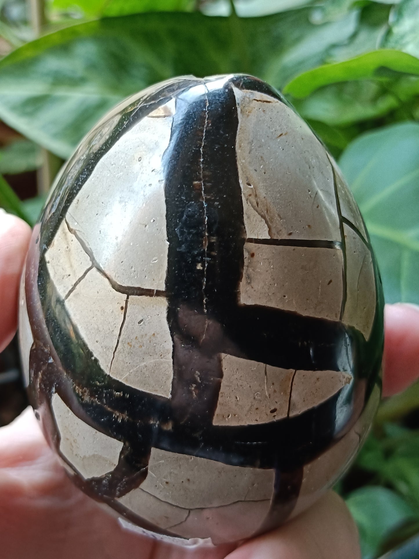 Septarian 'Dragon Stone' Egg - 439g