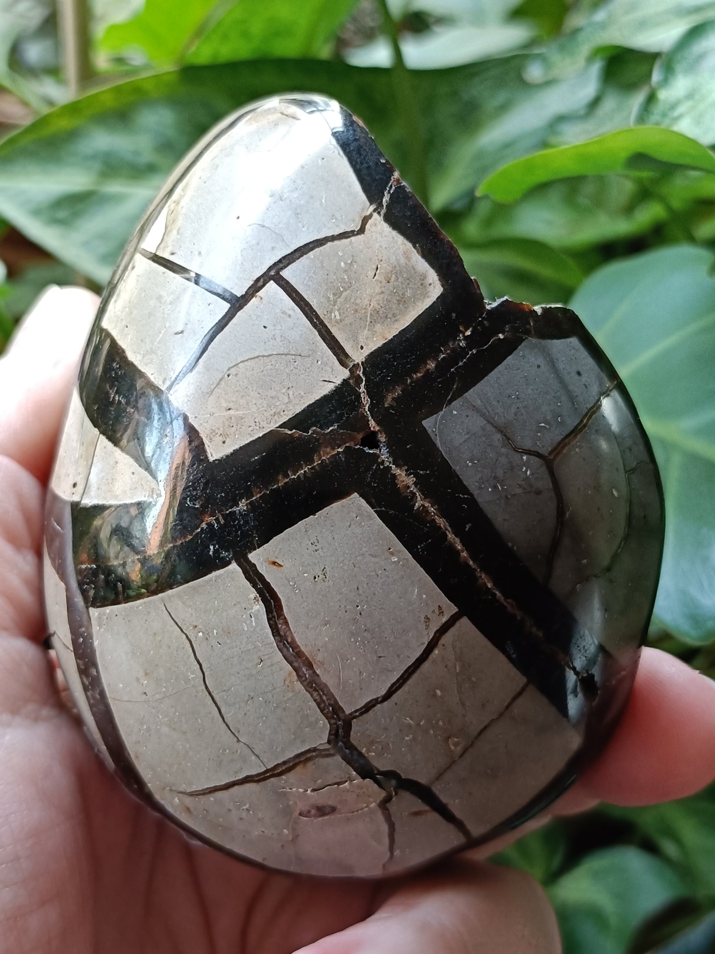 Septarian 'Dragon Stone' Egg - 439g