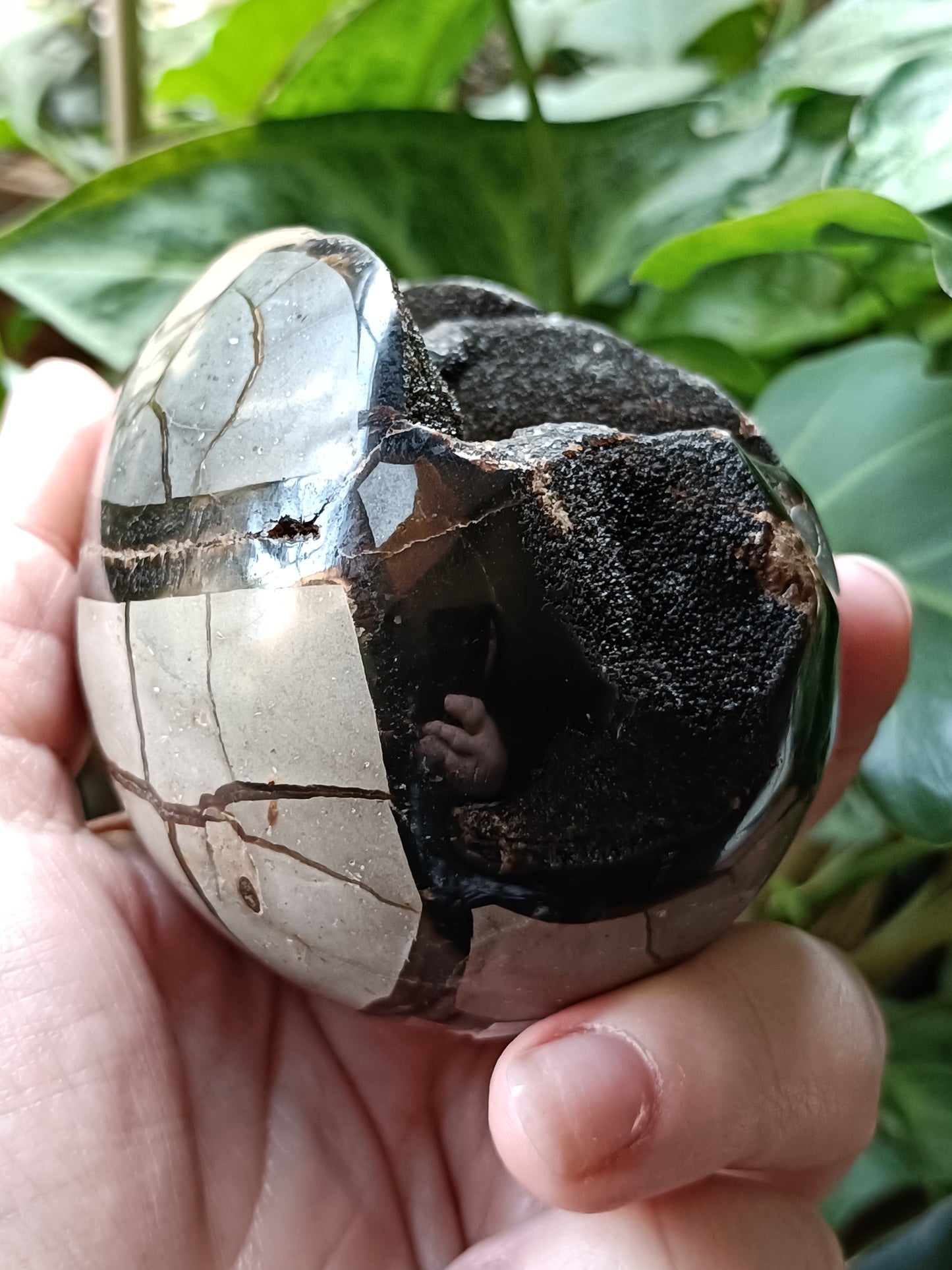 Septarian 'Dragon Stone' Egg - 439g