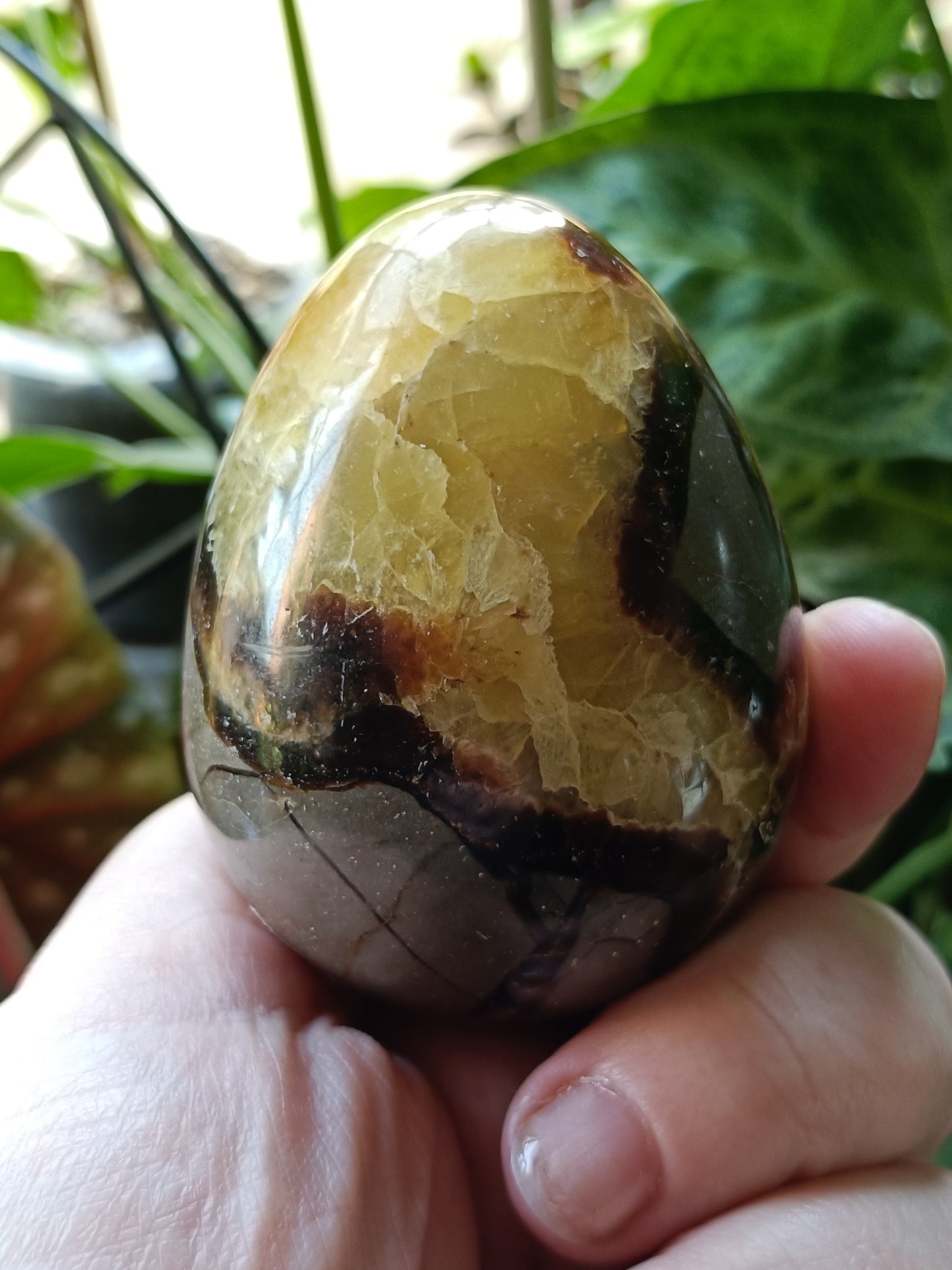 Septarian 'Dragon Stone' Egg - 259g