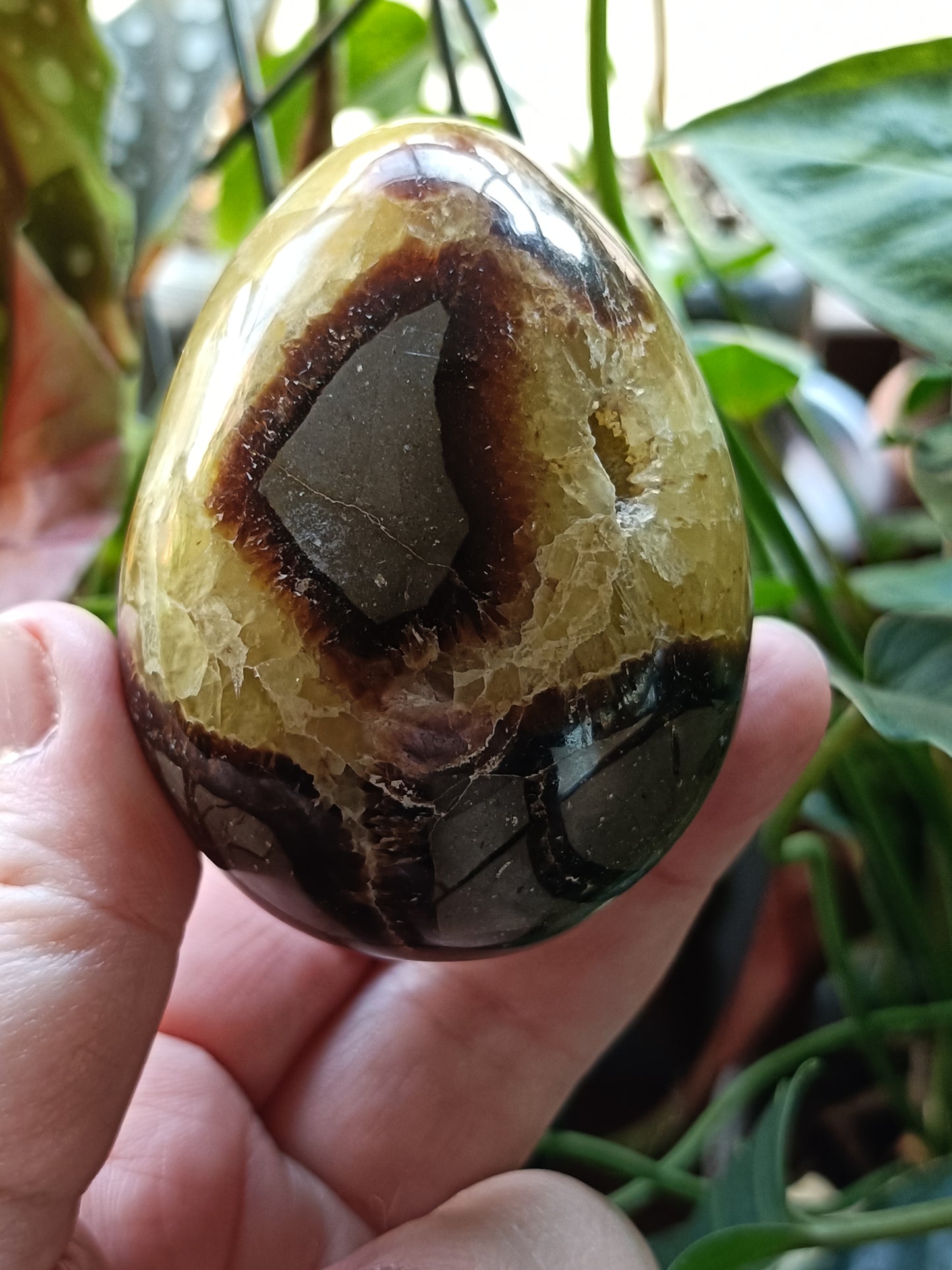Septarian 'Dragon Stone' Egg - 259g