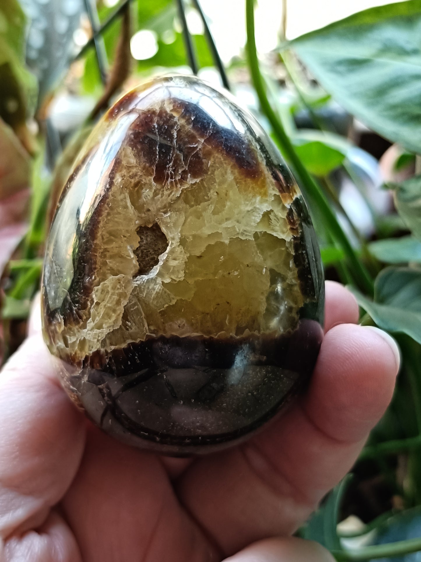 Septarian 'Dragon Stone' Egg - 259g