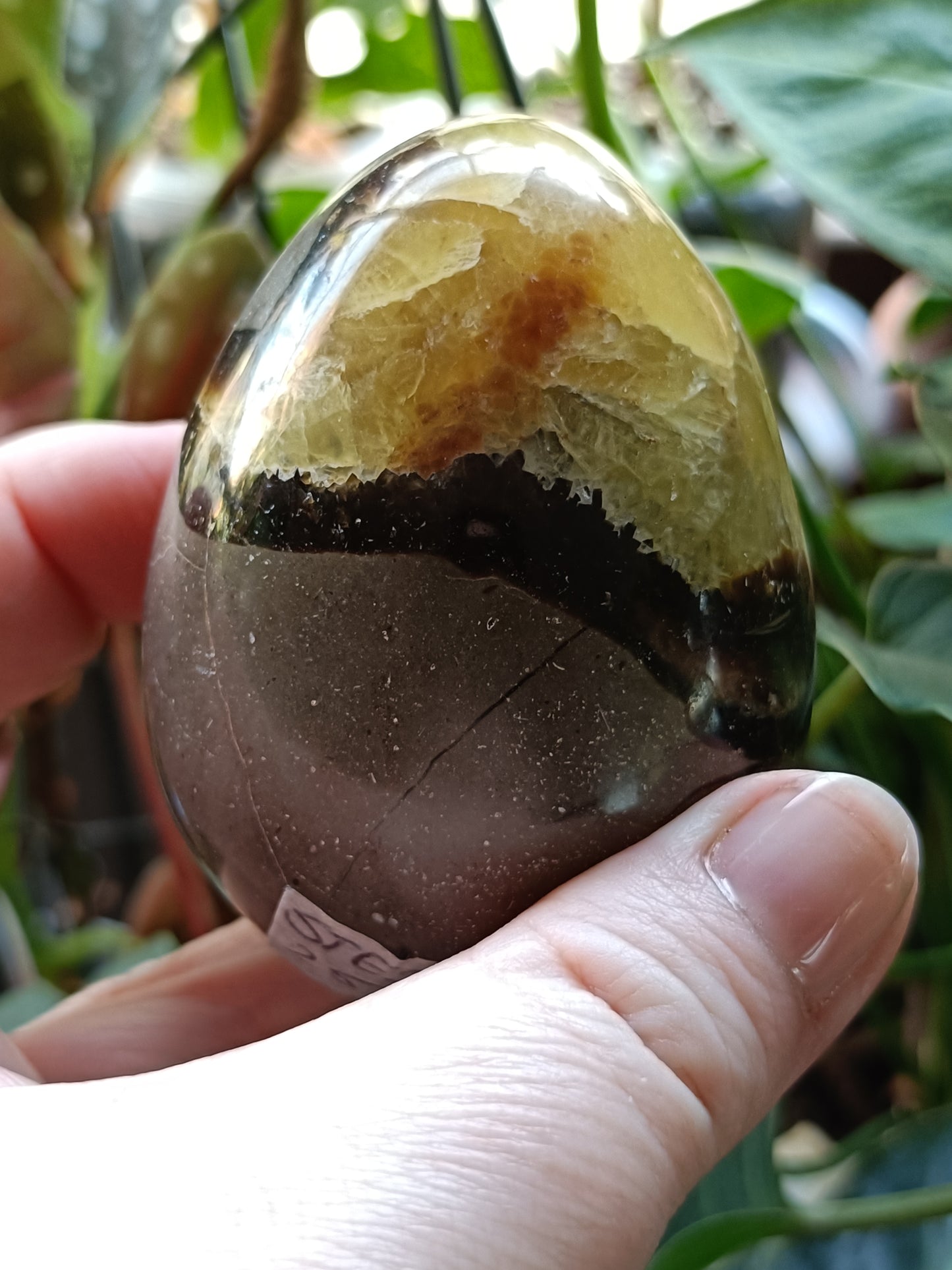 Septarian 'Dragon Stone' Egg - 259g