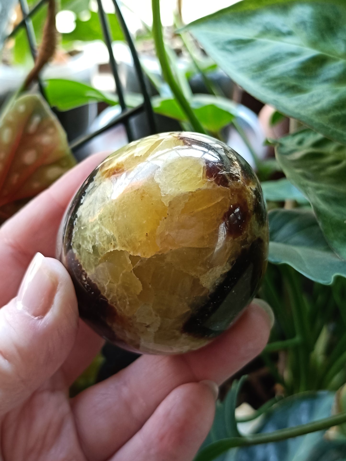 Septarian 'Dragon Stone' Egg - 259g