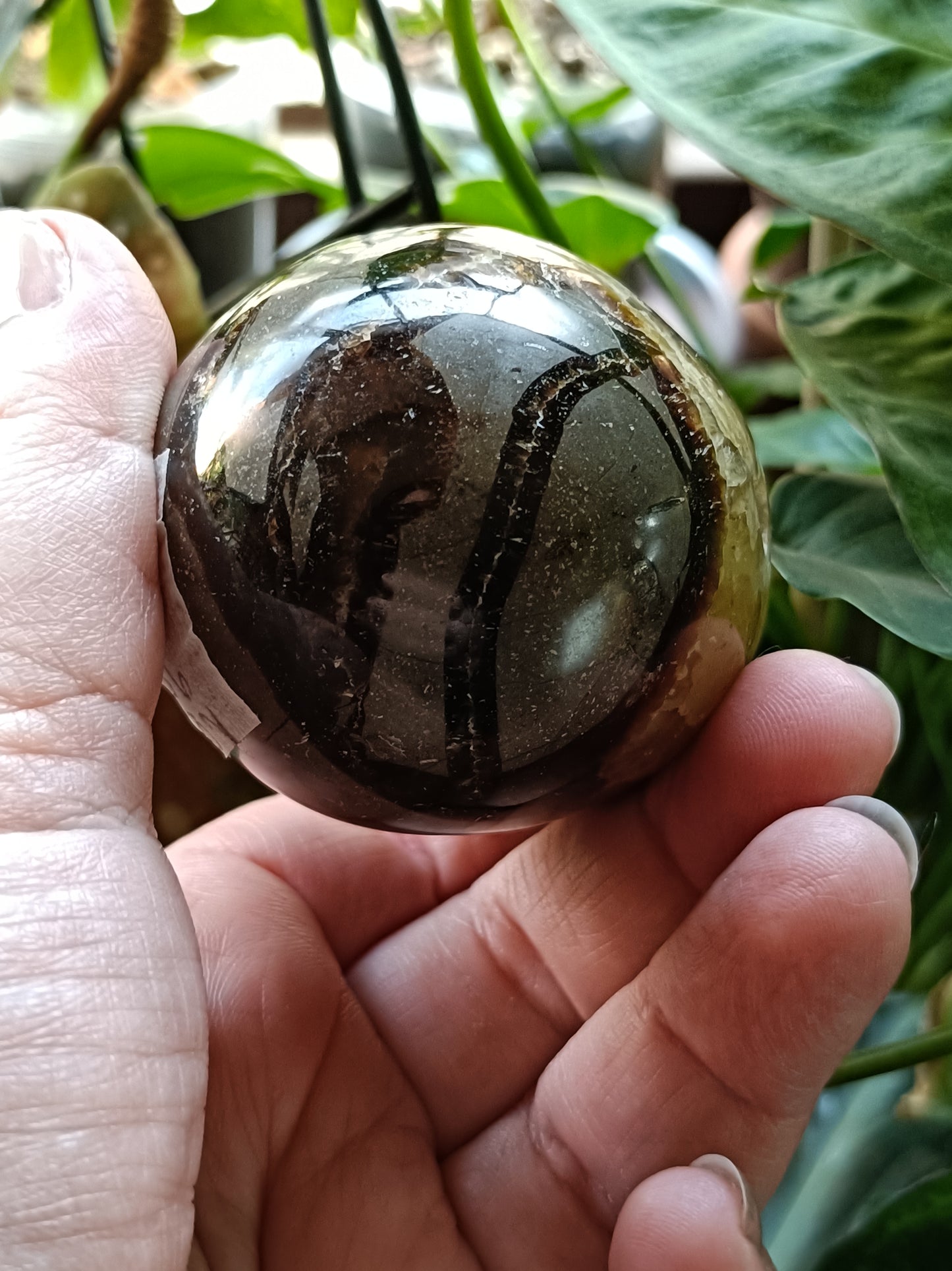 Septarian 'Dragon Stone' Egg - 259g