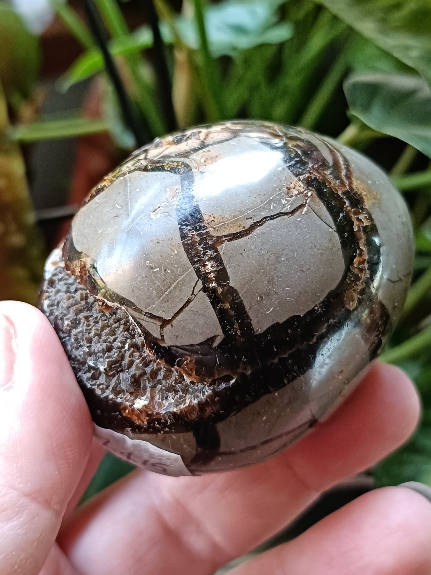 Septarian 'Dragon Stone' Egg - 225g