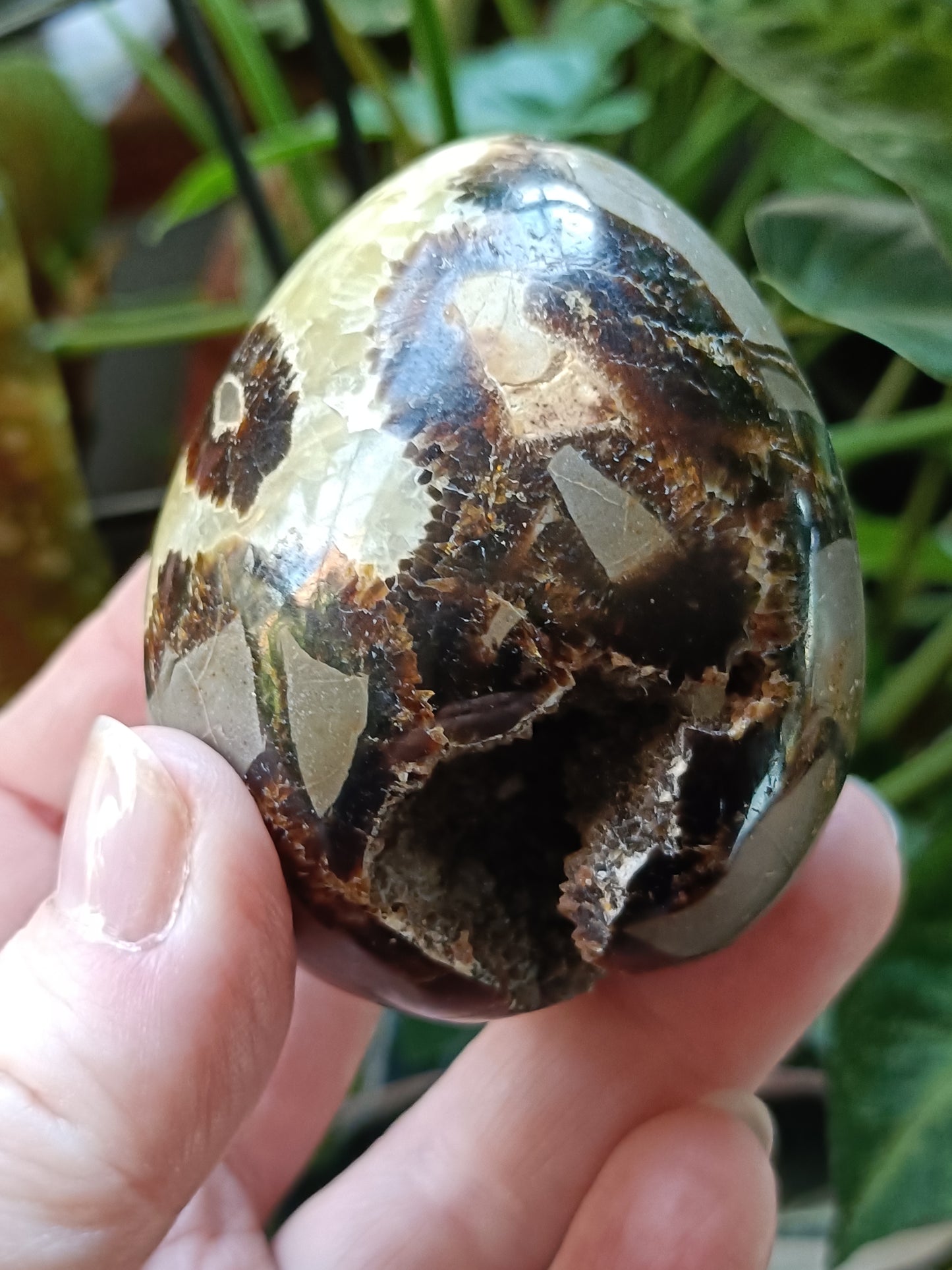 Septarian 'Dragon Stone' Egg - 225g