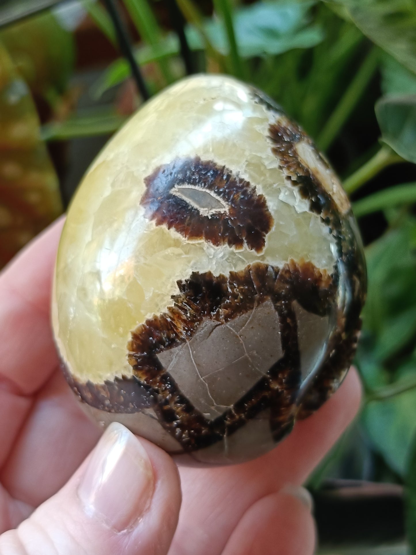 Septarian 'Dragon Stone' Egg - 225g