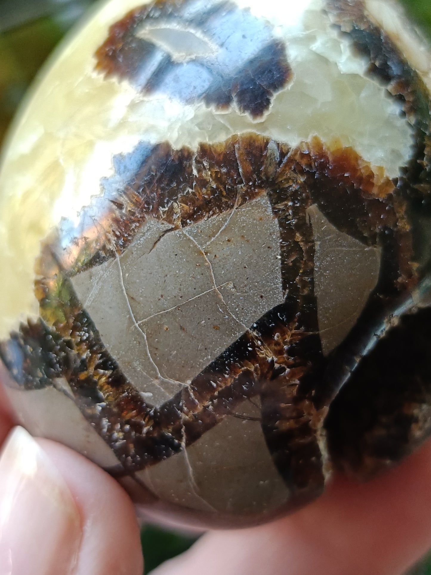 Septarian 'Dragon Stone' Egg - 225g