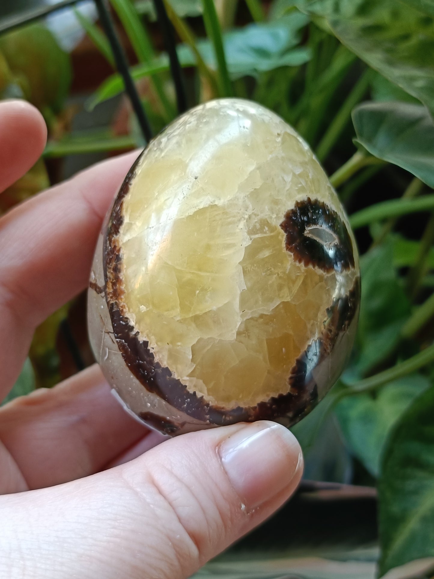 Septarian 'Dragon Stone' Egg - 225g