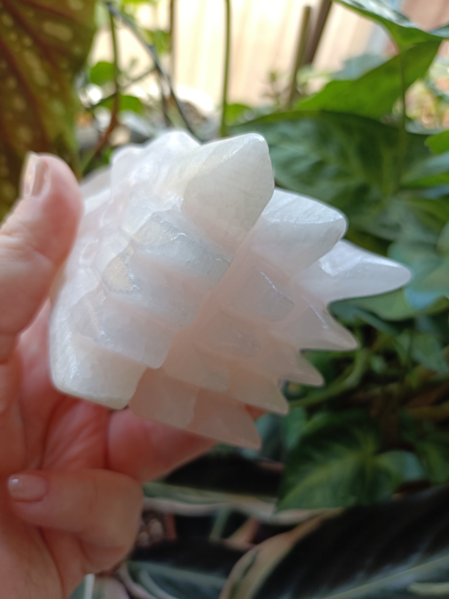 Pink Mangano Calcite Dragonhead Carving - 736g