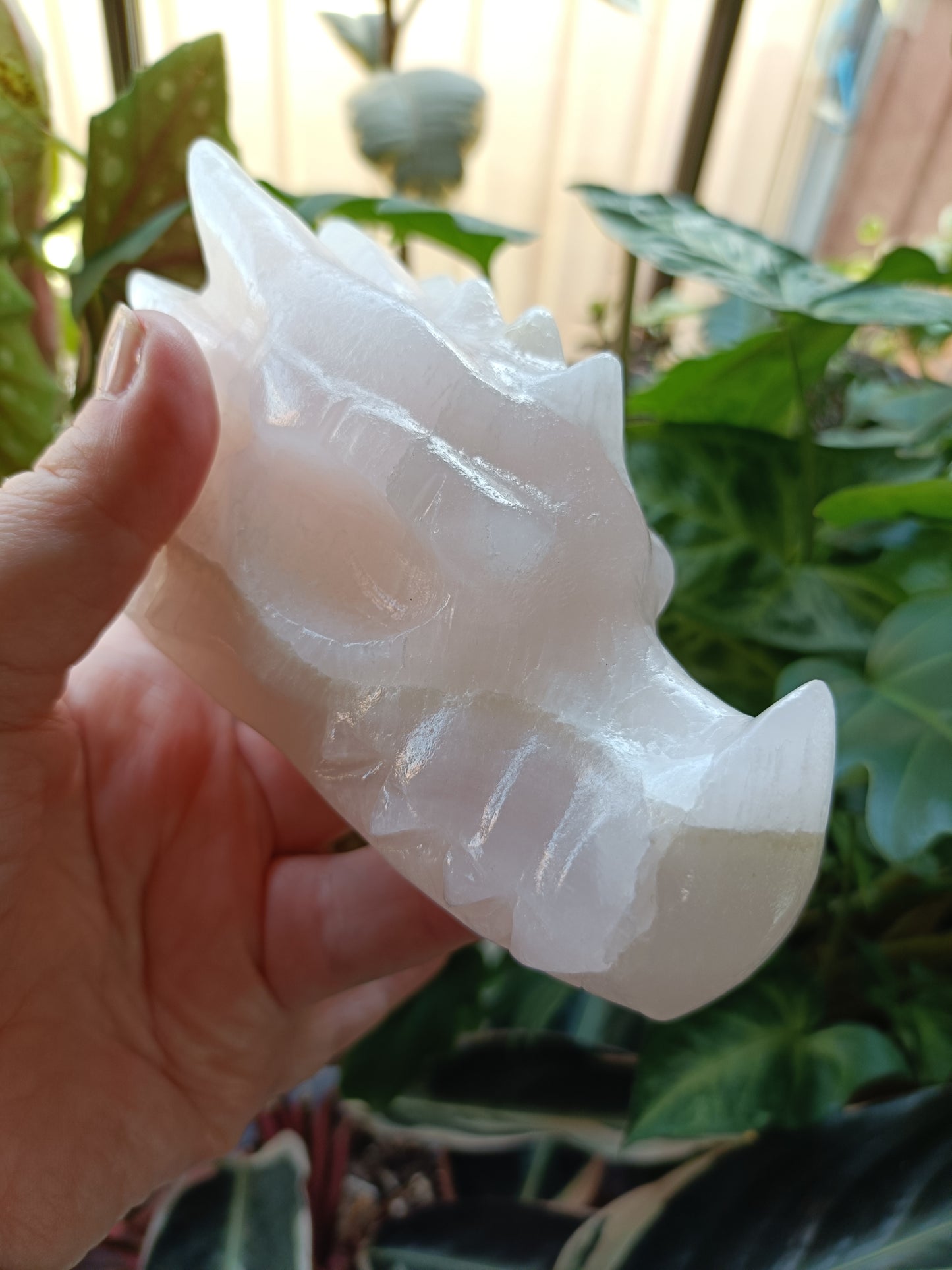 Pink Mangano Calcite Dragonhead Carving - 736g
