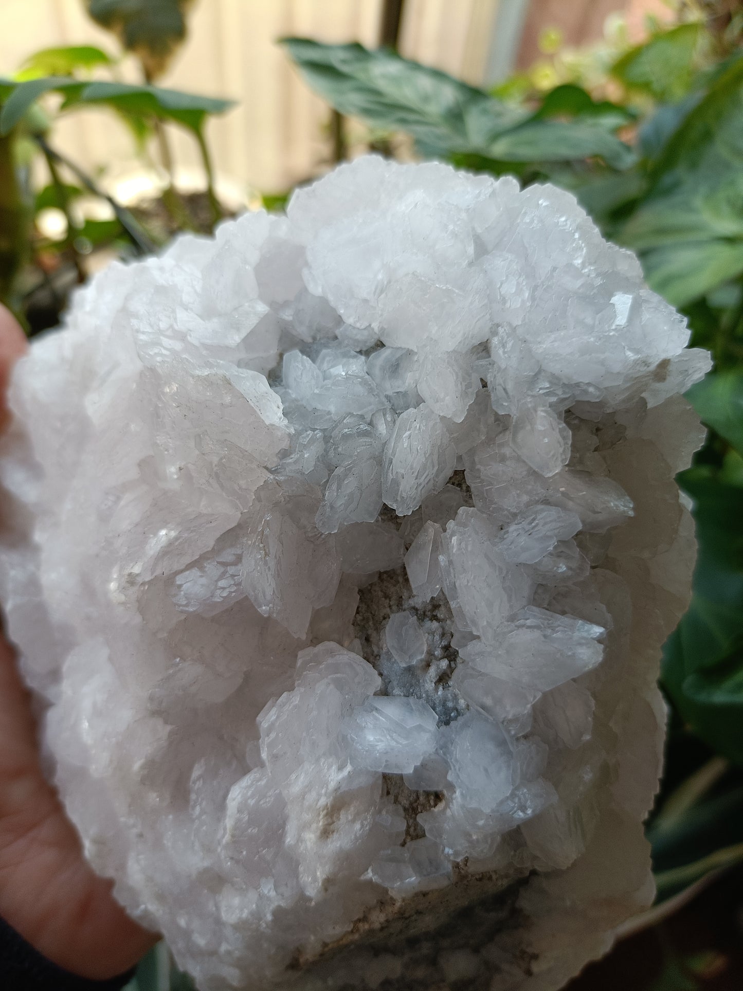 Pink Mangano Calcite Raw Specimen with Custom Stand - 2006g (2.343kg including stand)