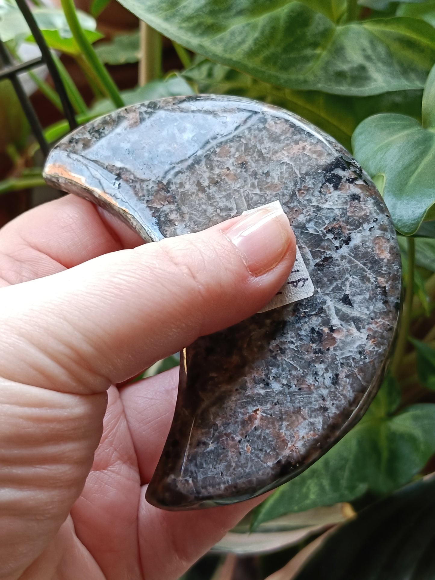 Sodalite & Syenite 'Emberlite/Yooperlite' Moon Carving + Silver Stand - 130-160g