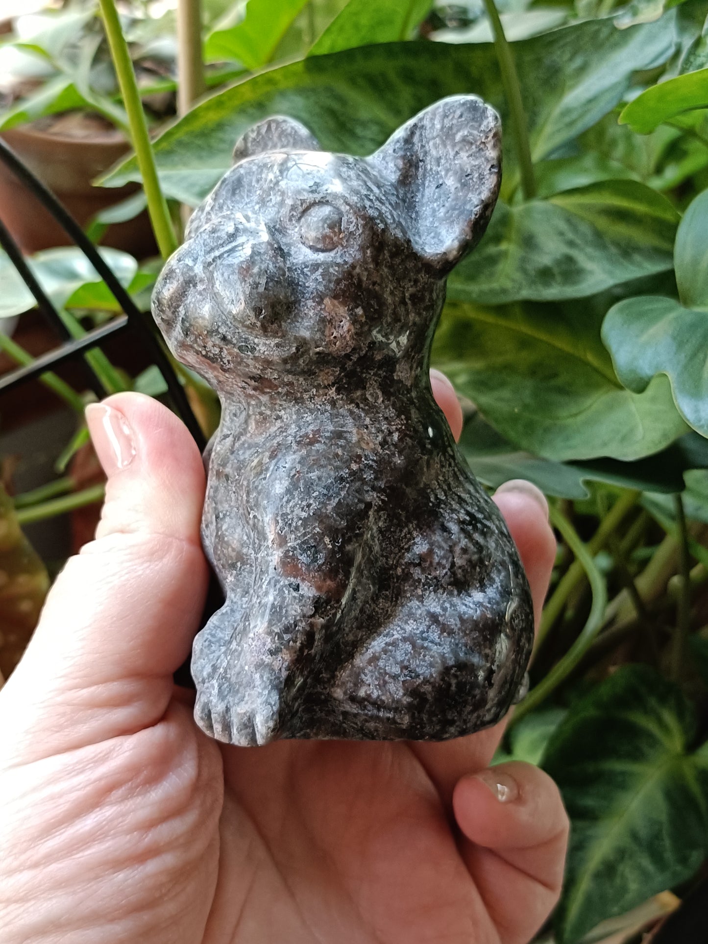 Sodalite & Syenite 'Emberlite/Yooperlite' French Bulldog Carving - 360g