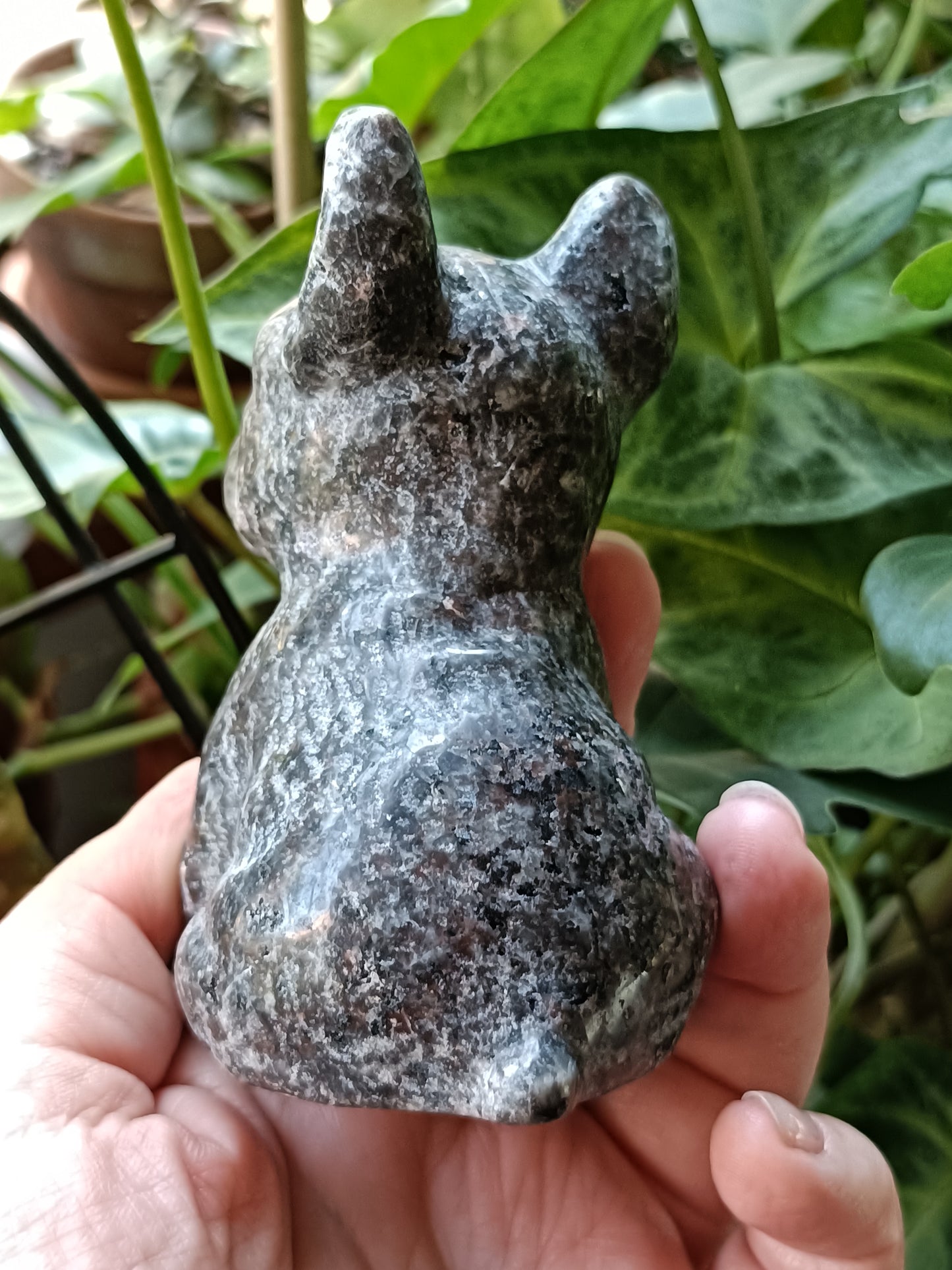 Sodalite & Syenite 'Emberlite/Yooperlite' French Bulldog Carving - 360g