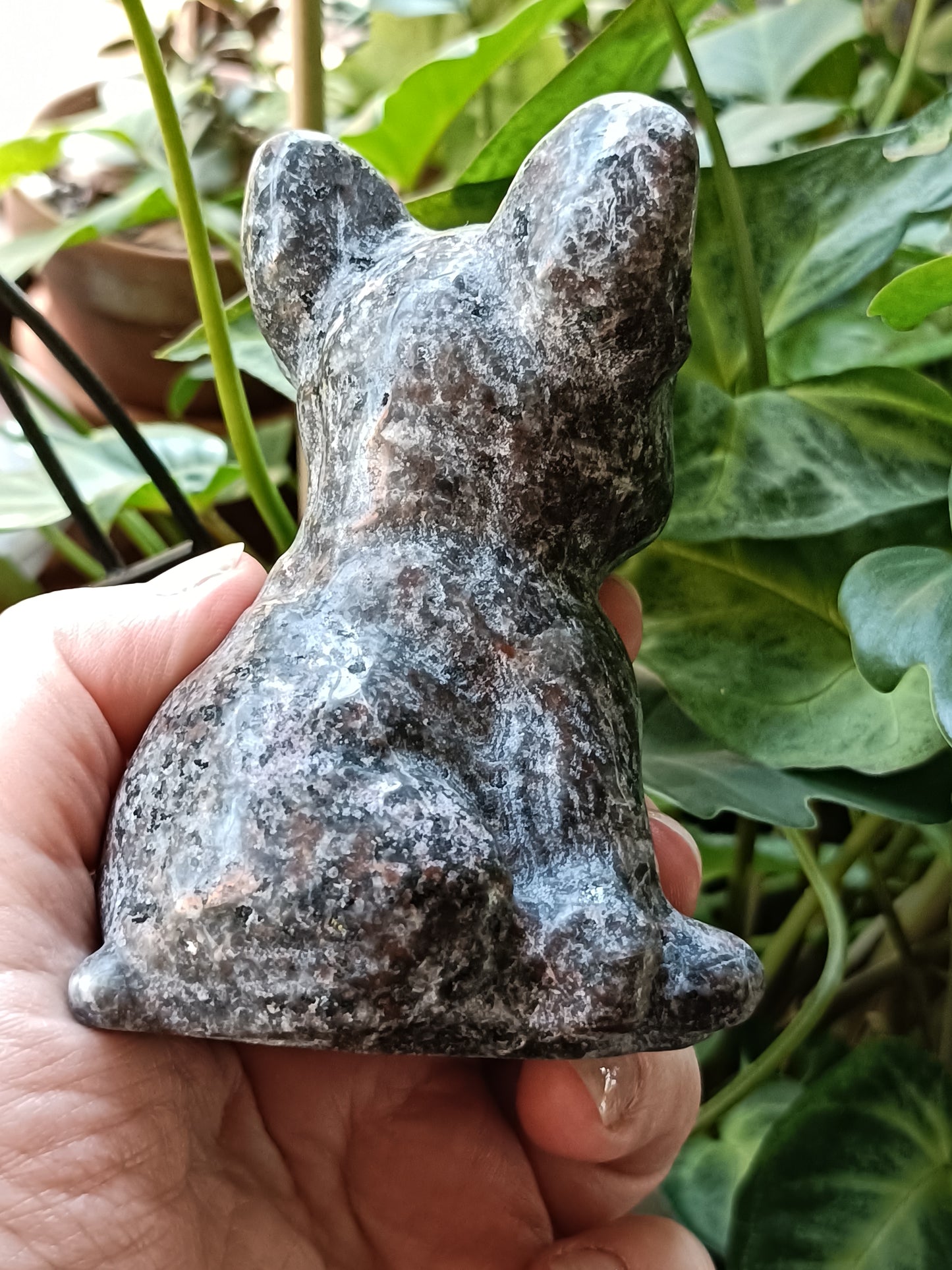 Sodalite & Syenite 'Emberlite/Yooperlite' French Bulldog Carving - 360g