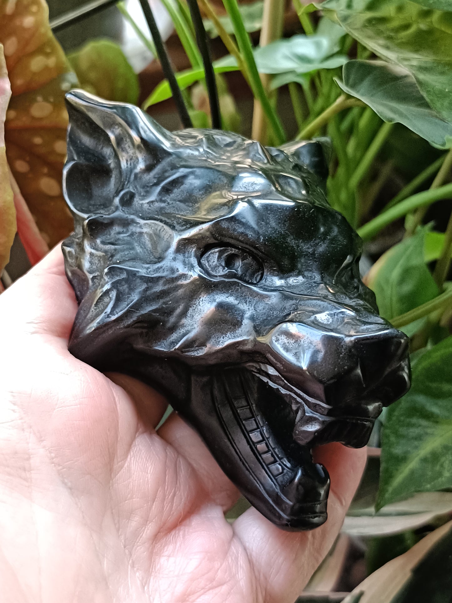 Black Obsidian Wolf Head Carving - 431g