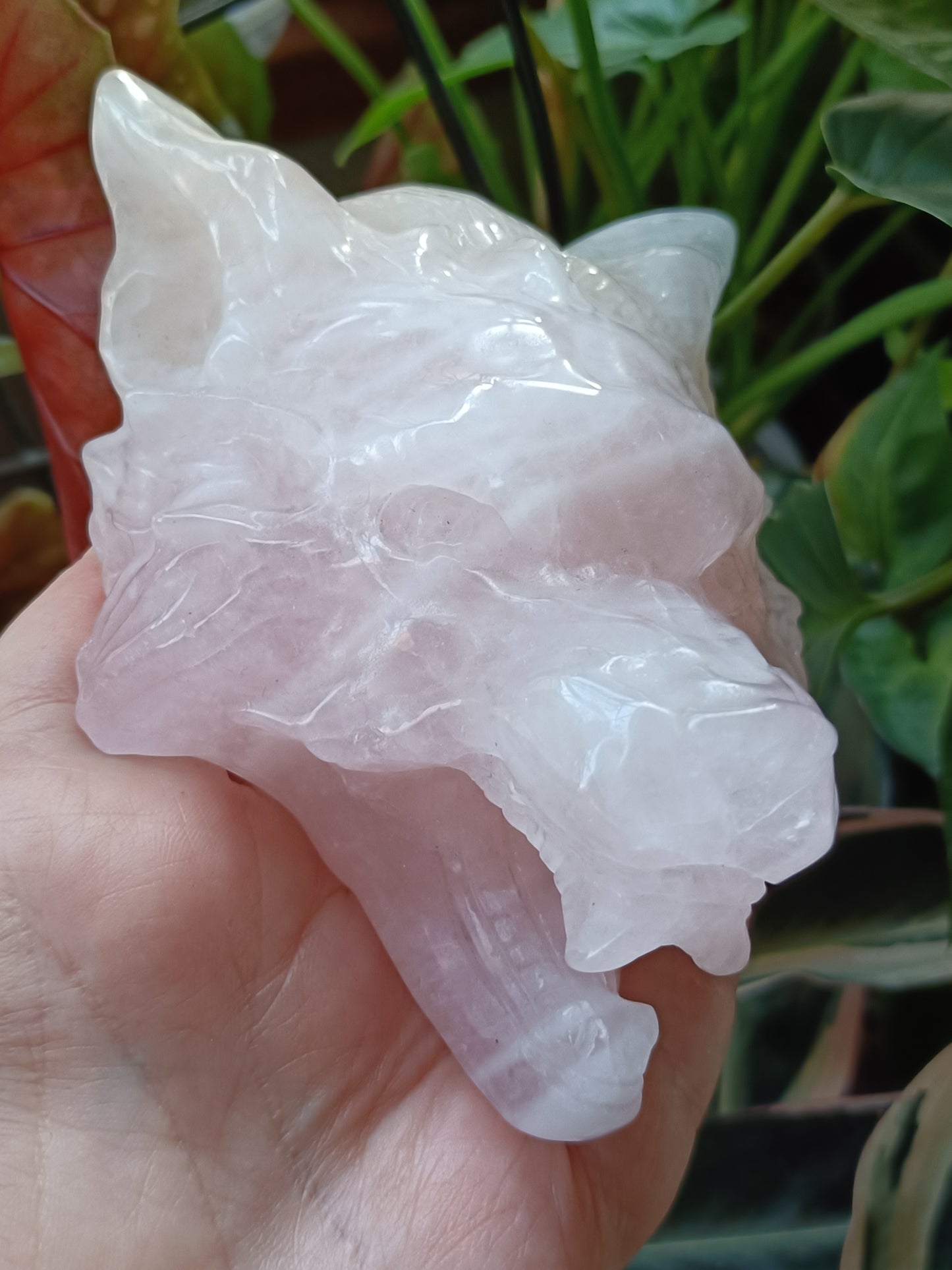 Rose Quartz Wolf Head Carving - 518g