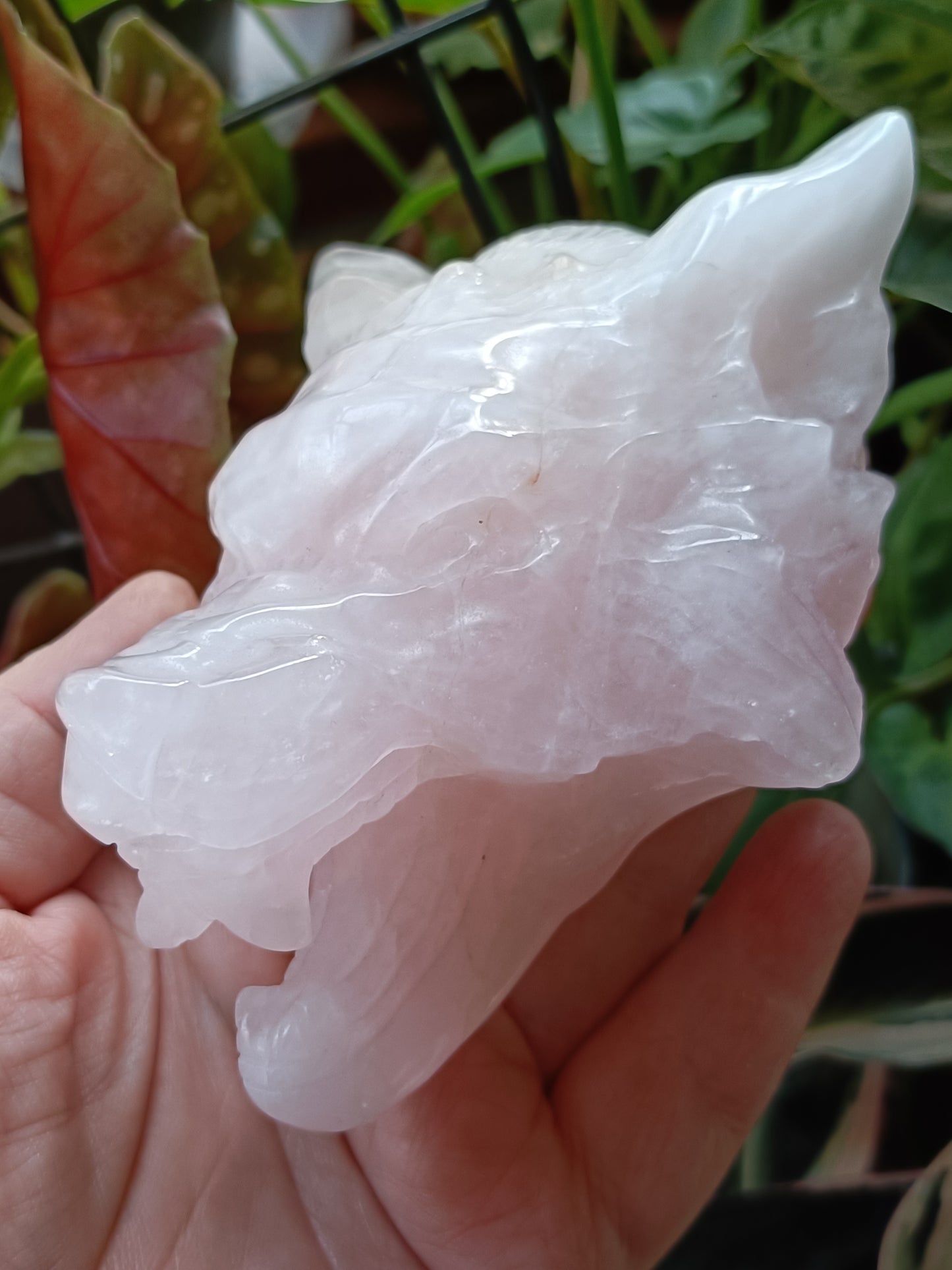 Rose Quartz Wolf Head Carving - 518g